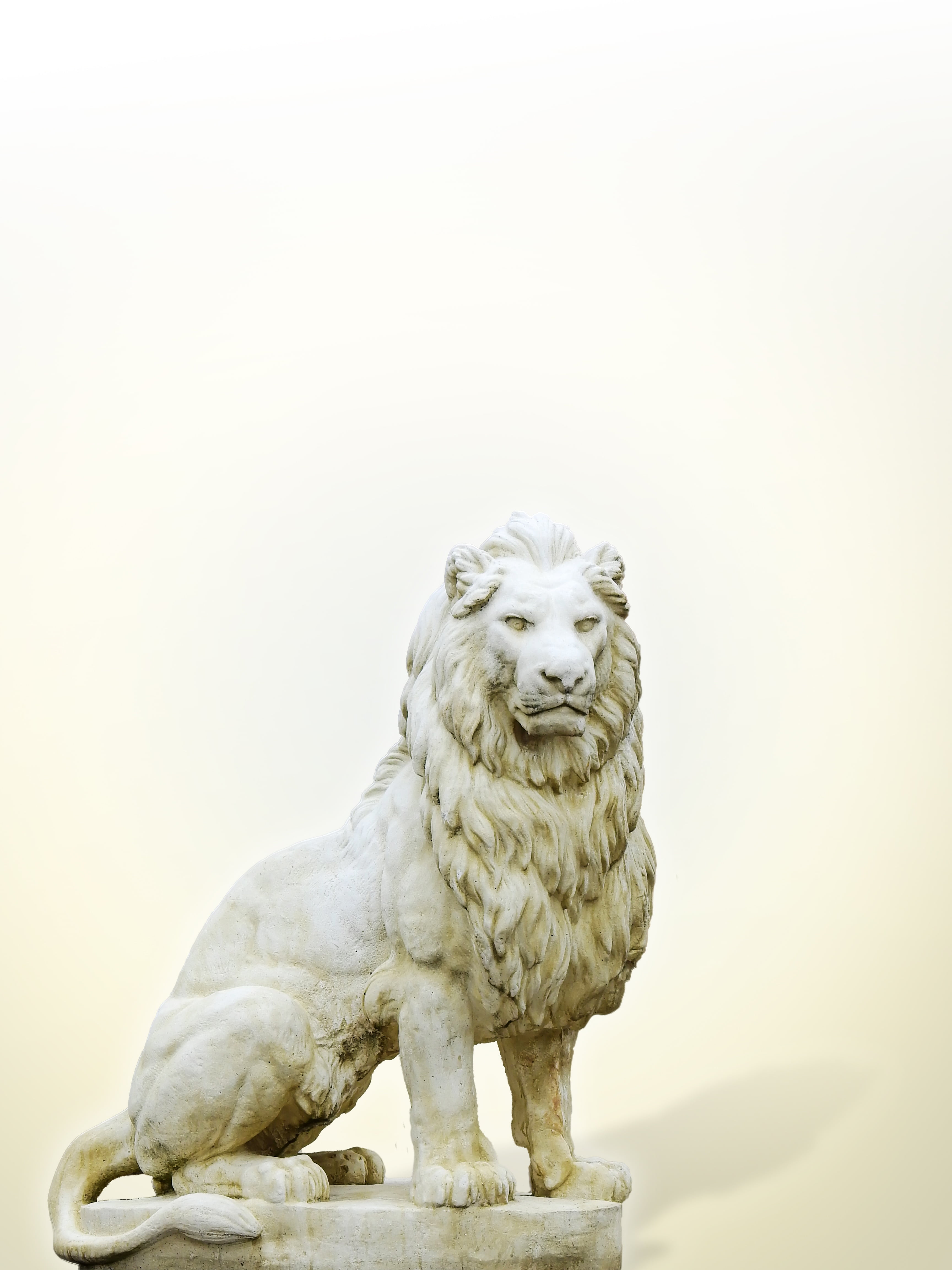 art and craft, mammal, domestic, looking away, art, close-up, lion, copy space, stone, wild animal, animal themes, canine, pets, statue, no people, outdoors, Phone HD Wallpaper