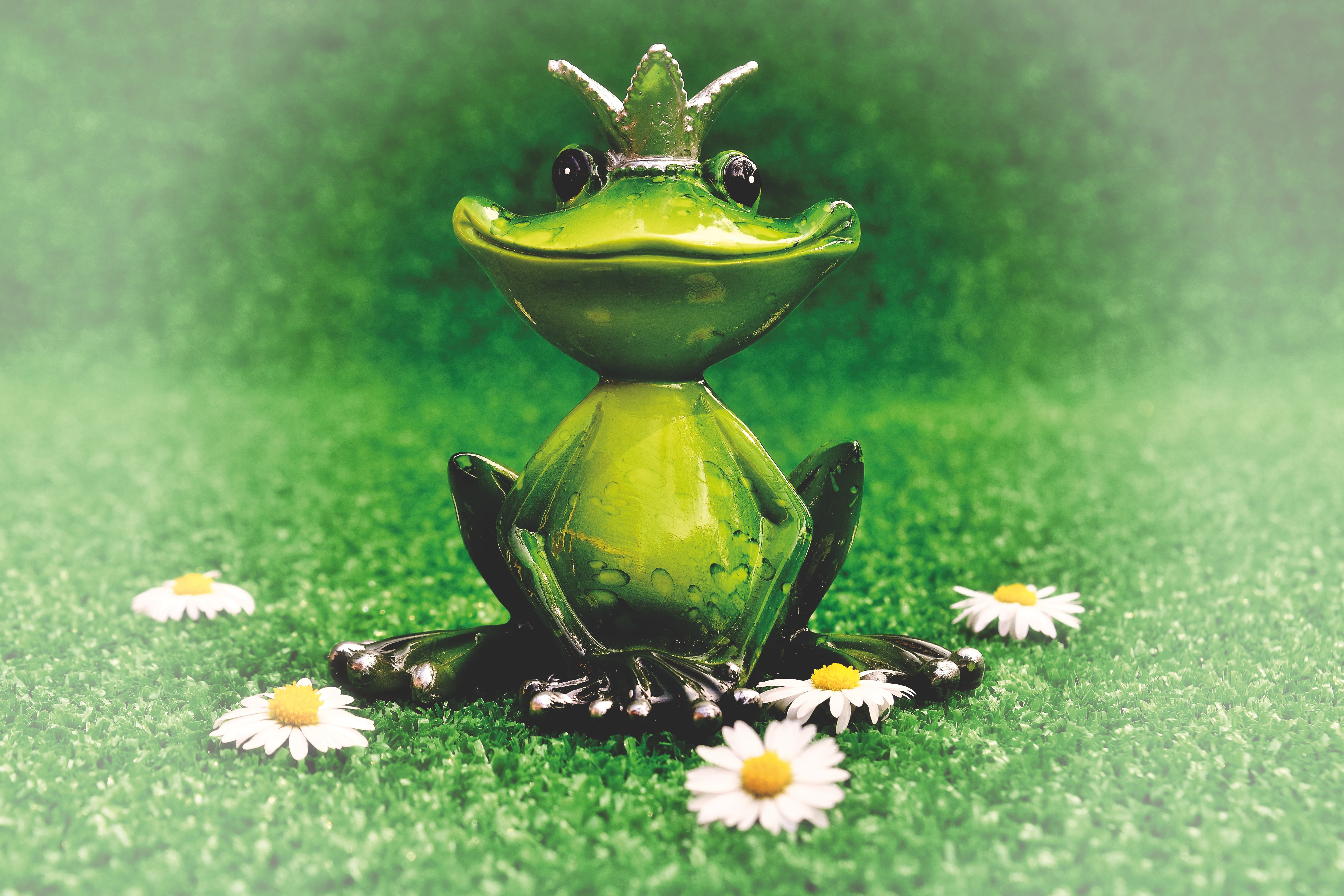 frog, plant, crown, fragility, flowering plant, no people, statuette, princess, grass, beauty in nature, art and craft, green color, freshness, flowers, HD Wallpaper