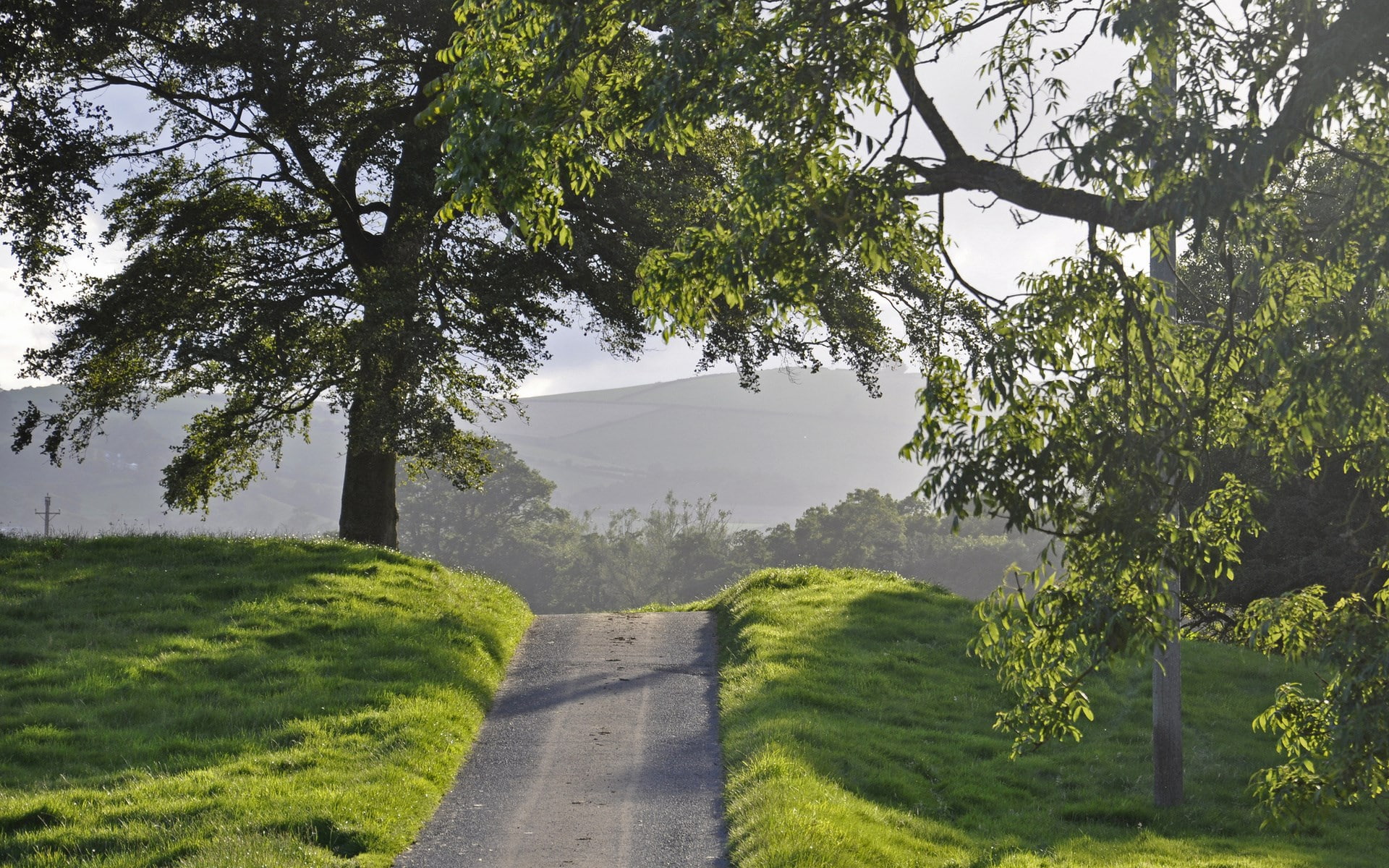 high definition nature  for widescreen 1920x1200, 1080P, HD Wallpaper