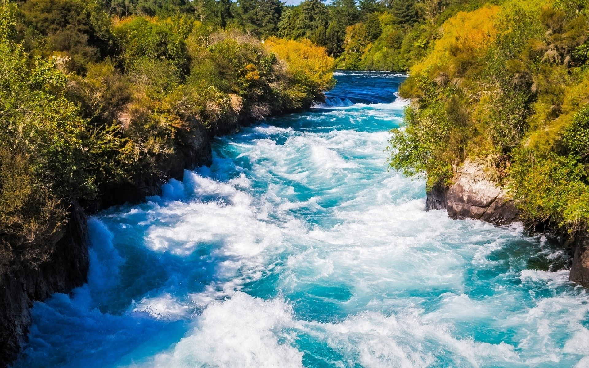 tree, power in nature, surfing, turquoise colored, blue, motion, 1080P, scenics - nature, plant, nature, water, high angle view, high definition nature sceneries pictures 1920x1200, HD Wallpaper