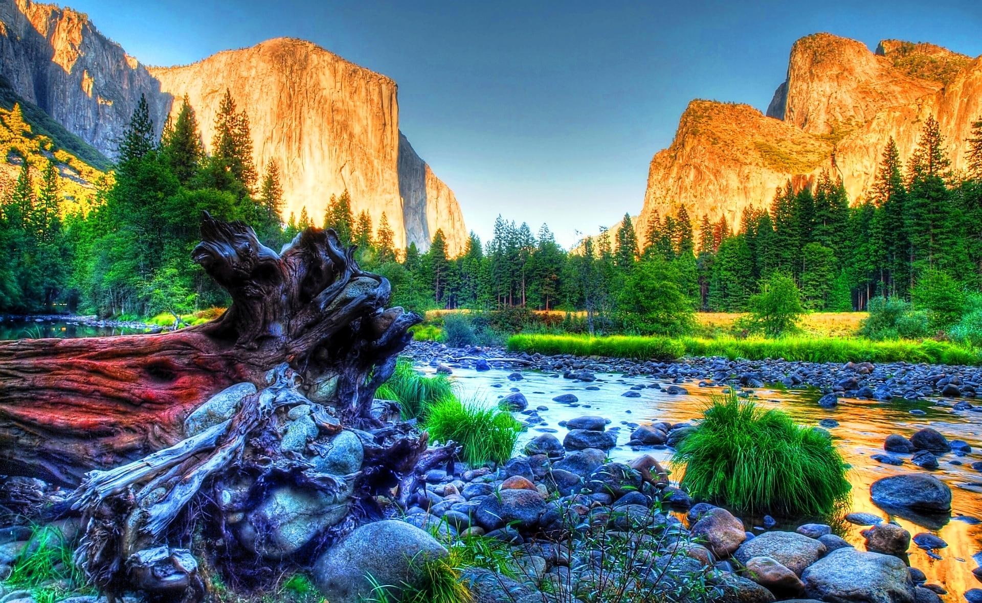 yosemite, black, mountains, maroo, hdr, pines, gold, water, blue, clouds, margin, stones, beautiful, high definition, 1080P, HD Wallpaper
