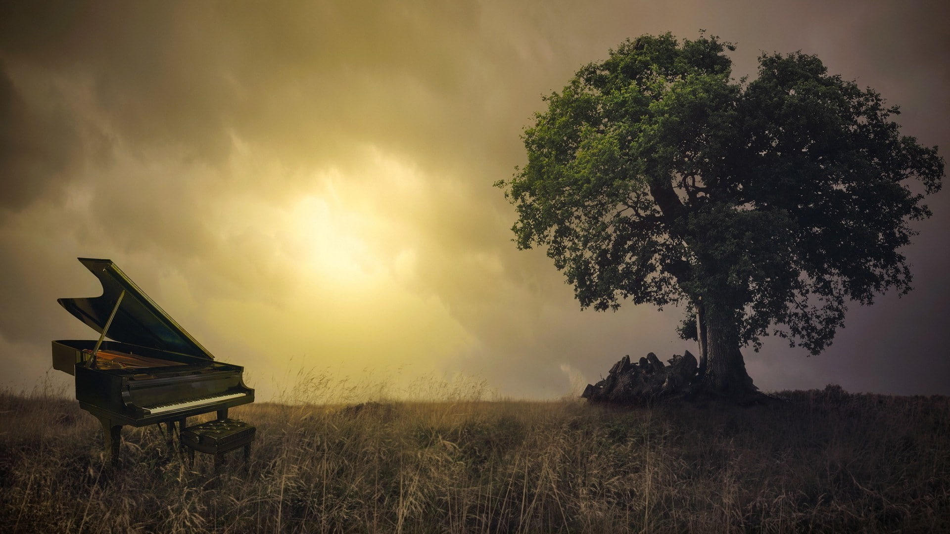 branch, tranquil scene, trees, built structure, piano, 1080P, cloud - sky, landscape, field, leaves, environment, grass, land, tree, photo manipulation, HD Wallpaper