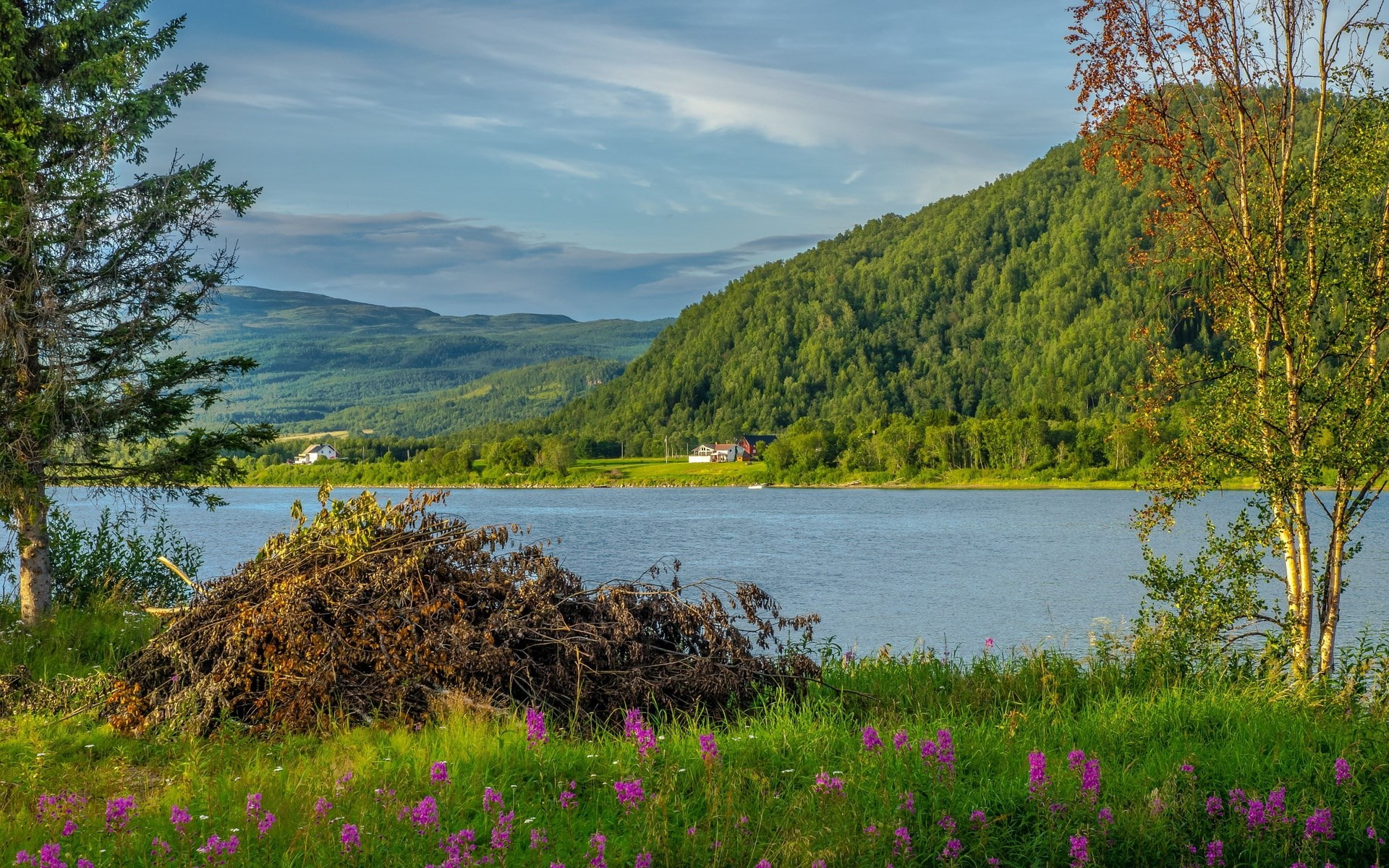high res  nature download 1920x1200, 1080P, HD Wallpaper