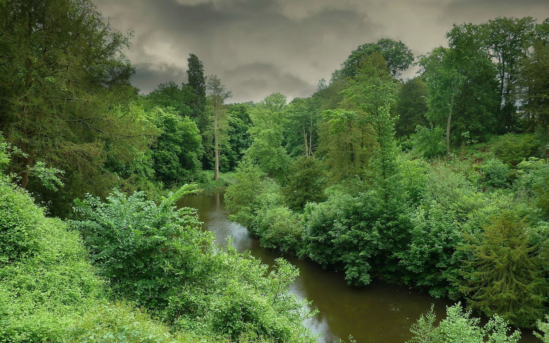 1080P, high res  nature download 1920x1200, HD Wallpaper