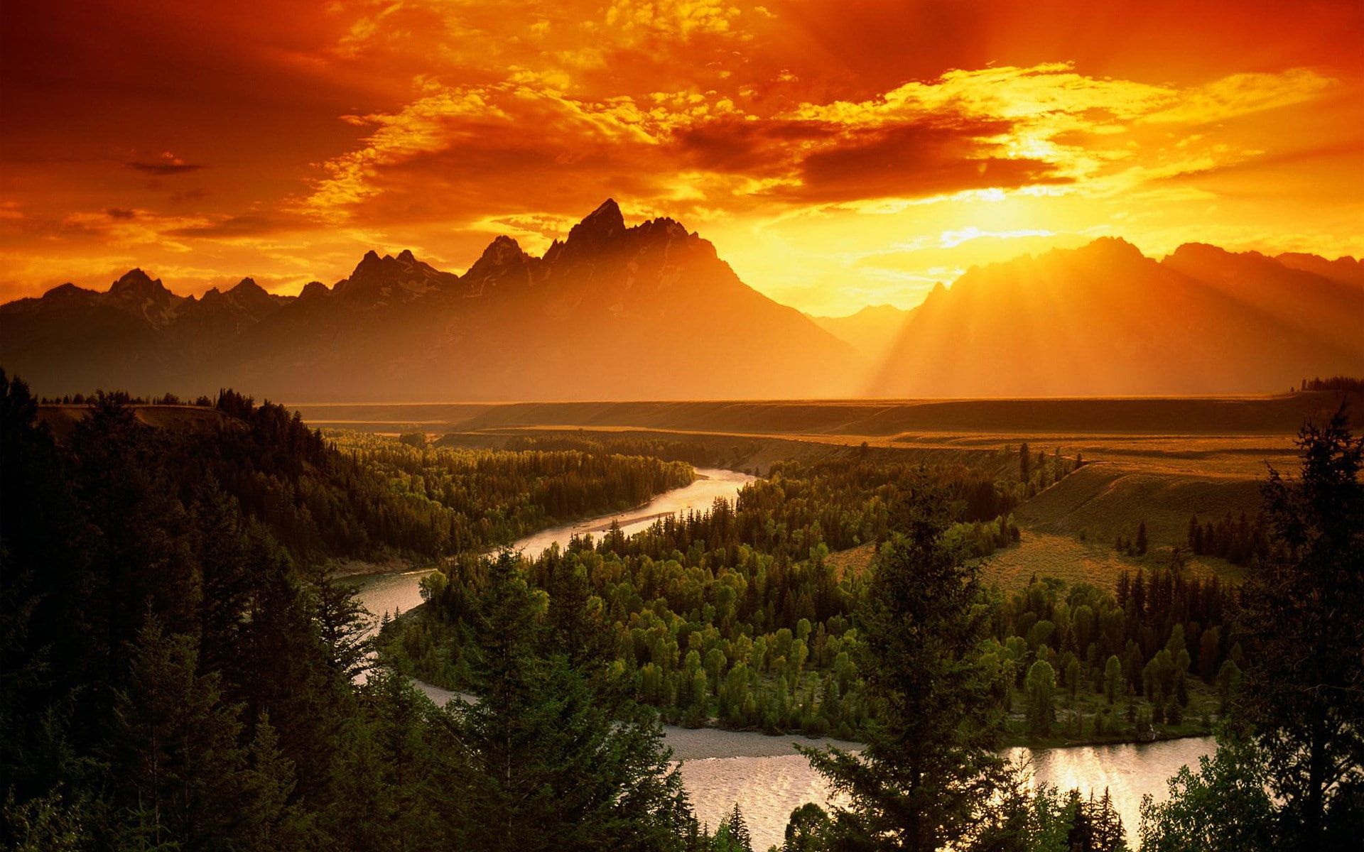 1080P, high res  nature download 1920x1200, HD Wallpaper