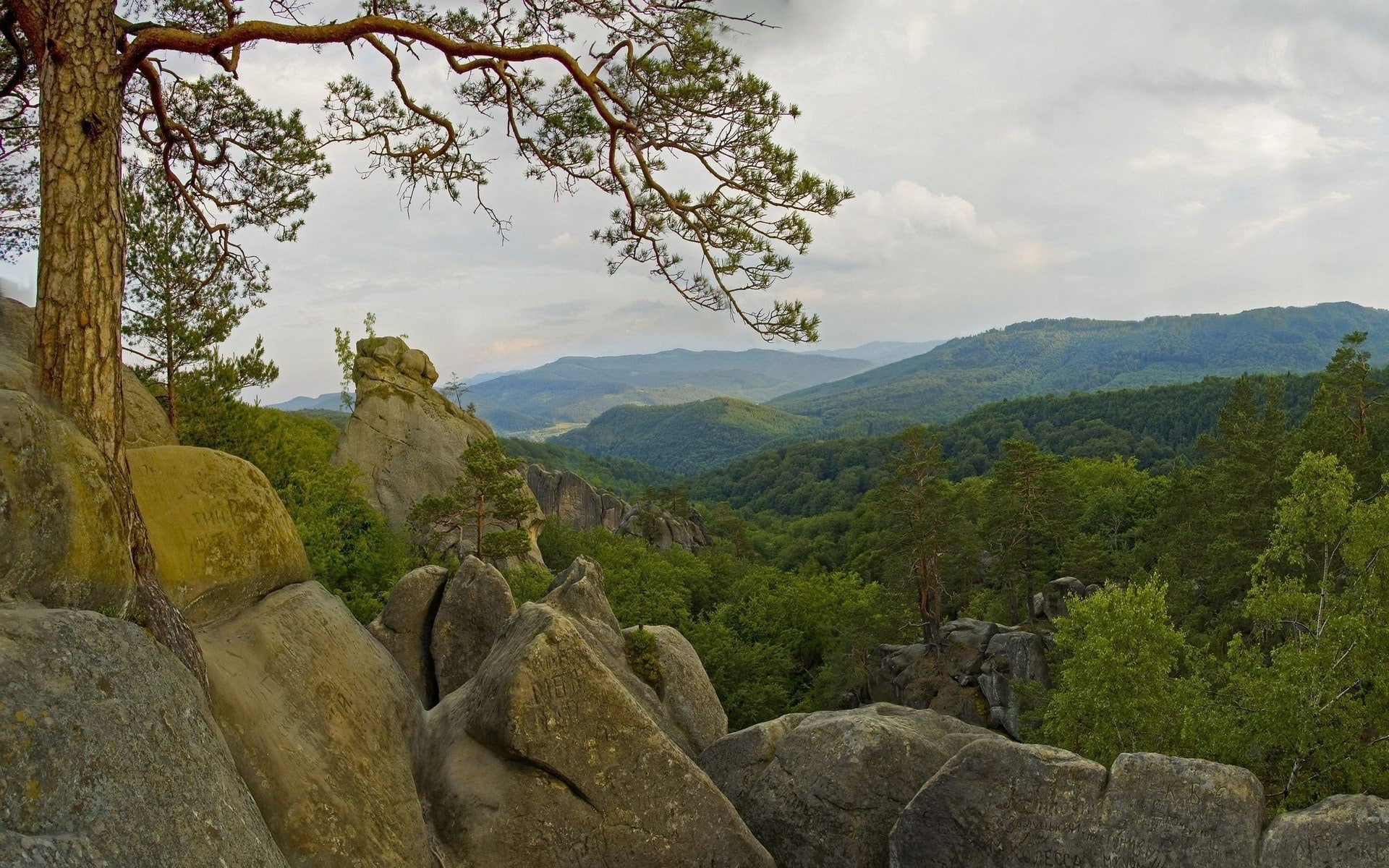 high res  nature download 1920x1200, 1080P, HD Wallpaper