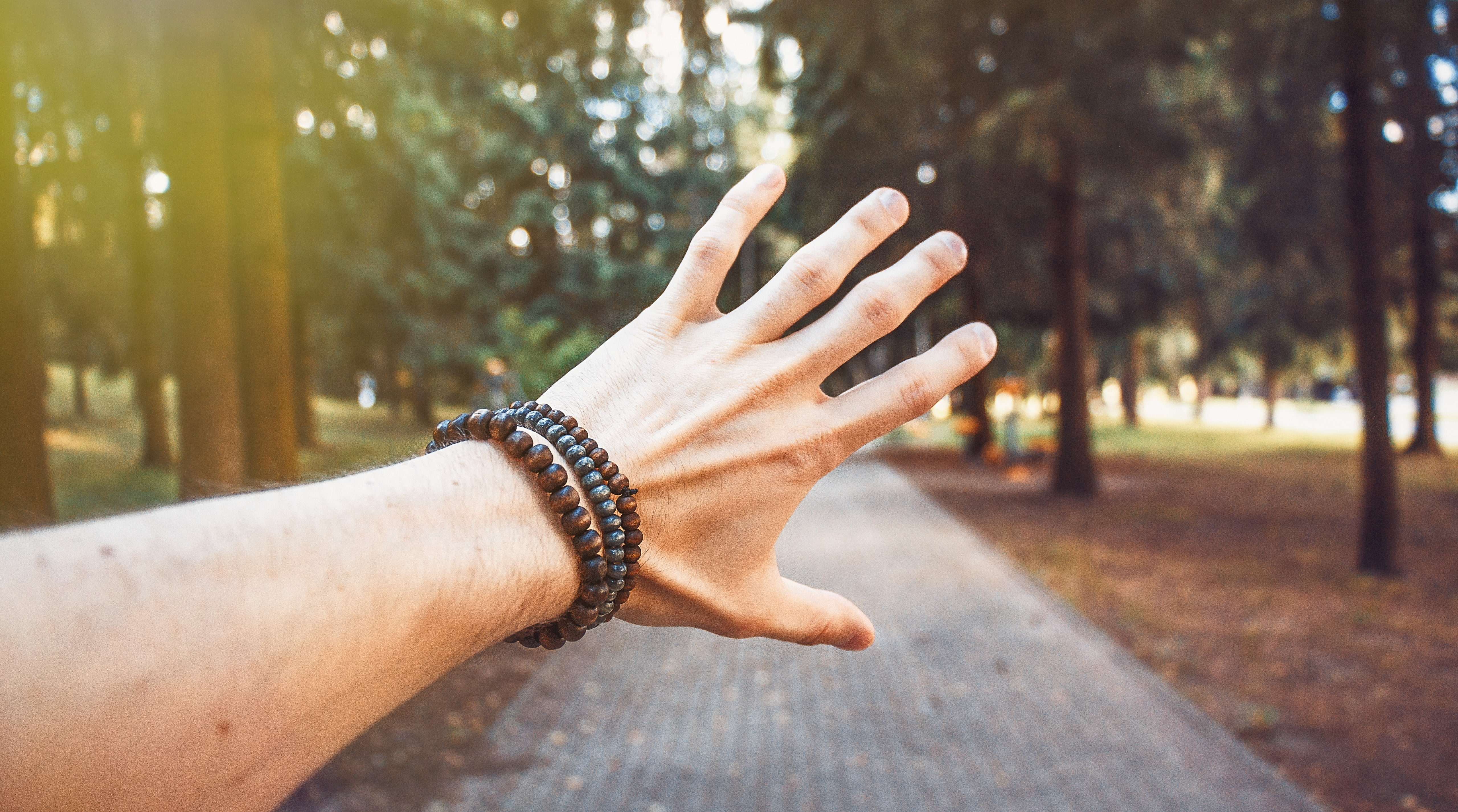 hand, nail, inspiration, rotyalty, finger, close-up, human limb, tree, day, jewelry, 5K, body part, plant, stock photo, vaynernation, Aero, real people, HD Wallpaper