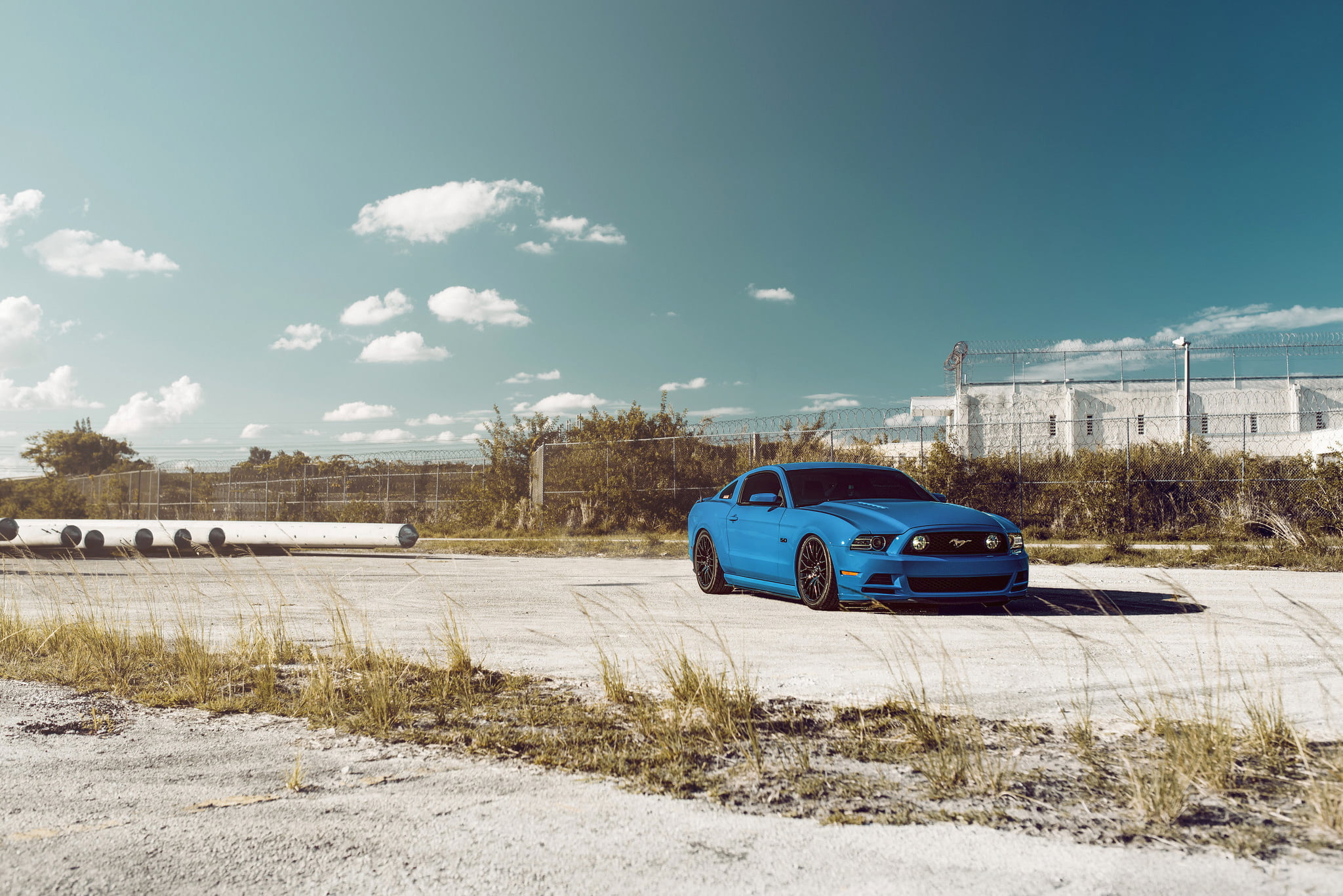 Sky, Muscle, Mustang, Ford, 1080P, Car, 5.0, Front, Blue, HD Wallpaper