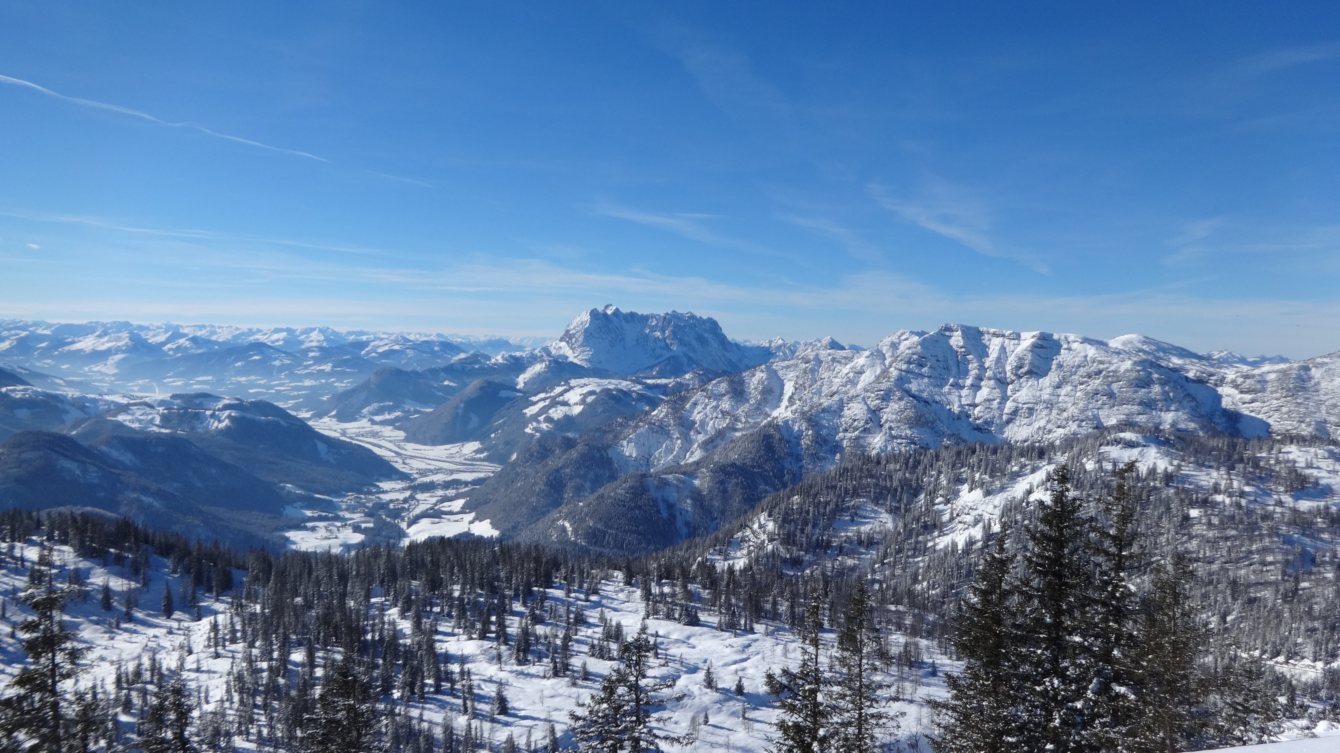 coniferous tree, winter, cloud - sky, steinplatte, sky, nature, tree, pine tree, tranquility, snowcapped mountain, tranquil scene, alpine, no people, snow, HD Wallpaper