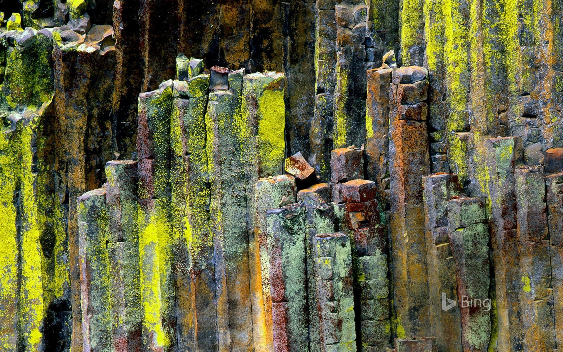 textured, metal, barrier, growth, rusty, close-up, moss, national, outdoors, deterioration, no people, boundary, 1080P, old, tree, bi, plant, umpqua, stone, HD Wallpaper