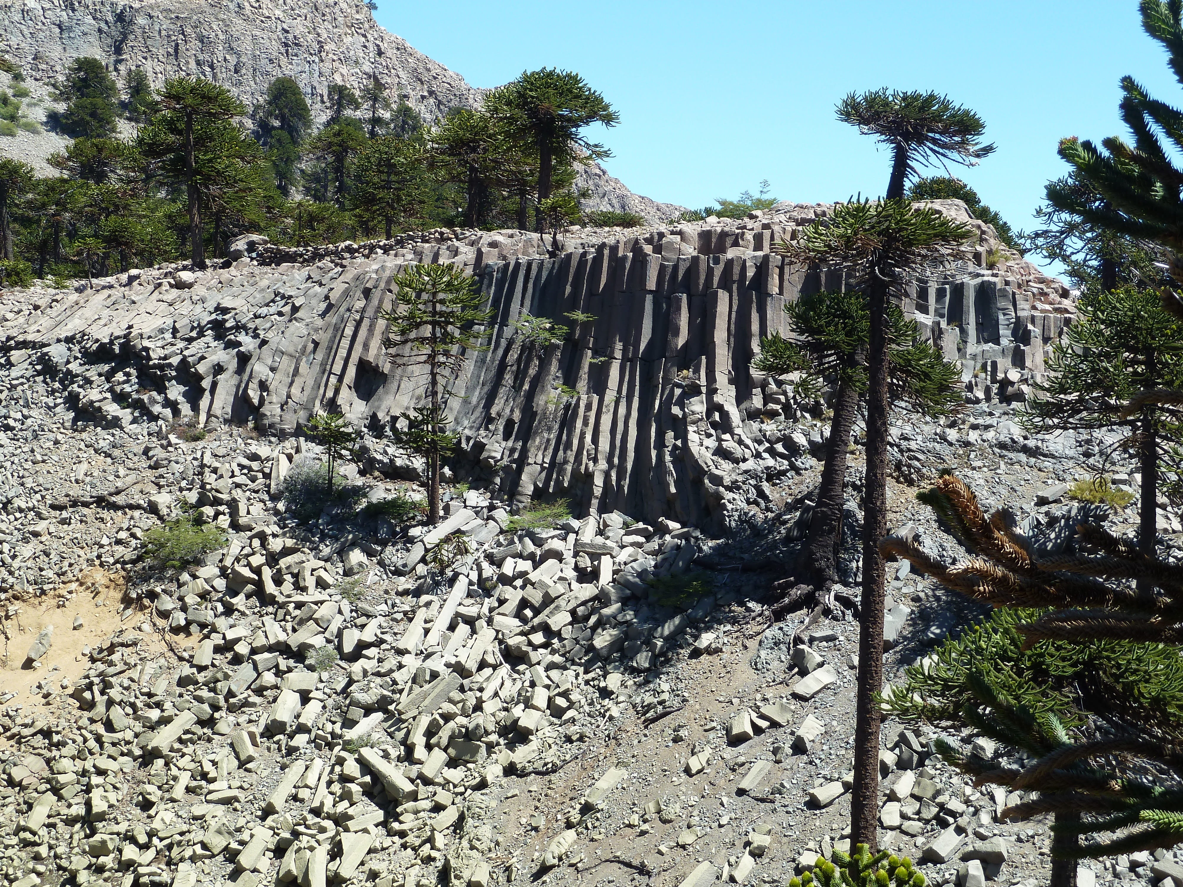 architecture, tranquility, built structure, plant, desert, rocks, panoramic, trees, land, sunlight, no people, sky, nature, forest, patagonia, day, basalt columns, HD Wallpaper