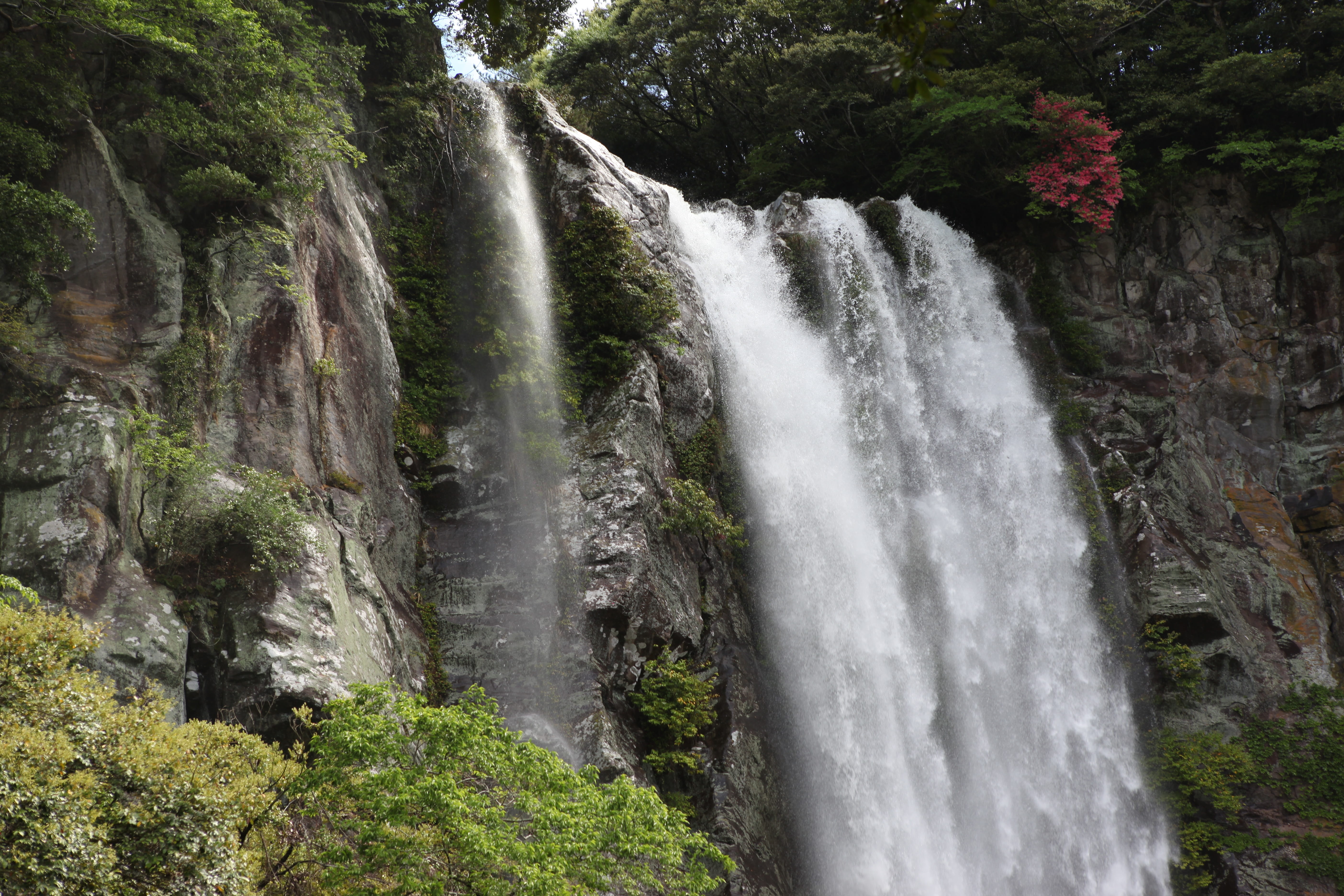 land, volcanic island, republic of korea, scenics - nature, rock - object, outdoors, rock, river, noel online gift shop, no people, blurred motion, forest, HD Wallpaper