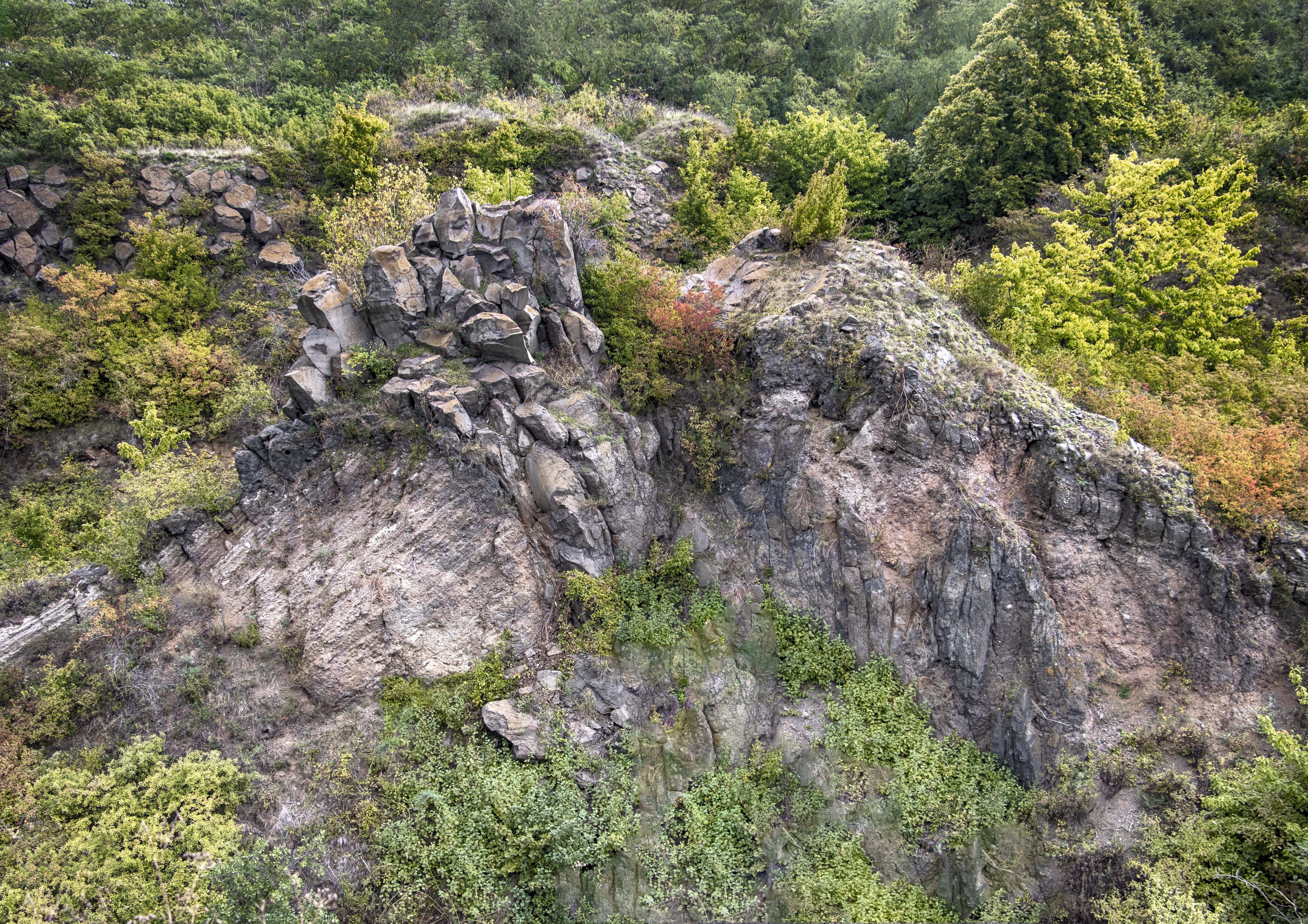 tree, hungary, growth, forest, cliff, tranquil scene, no people, formation, high angle view, day, land, basalt, green color, erosion, rock, tranquility, HD Wallpaper