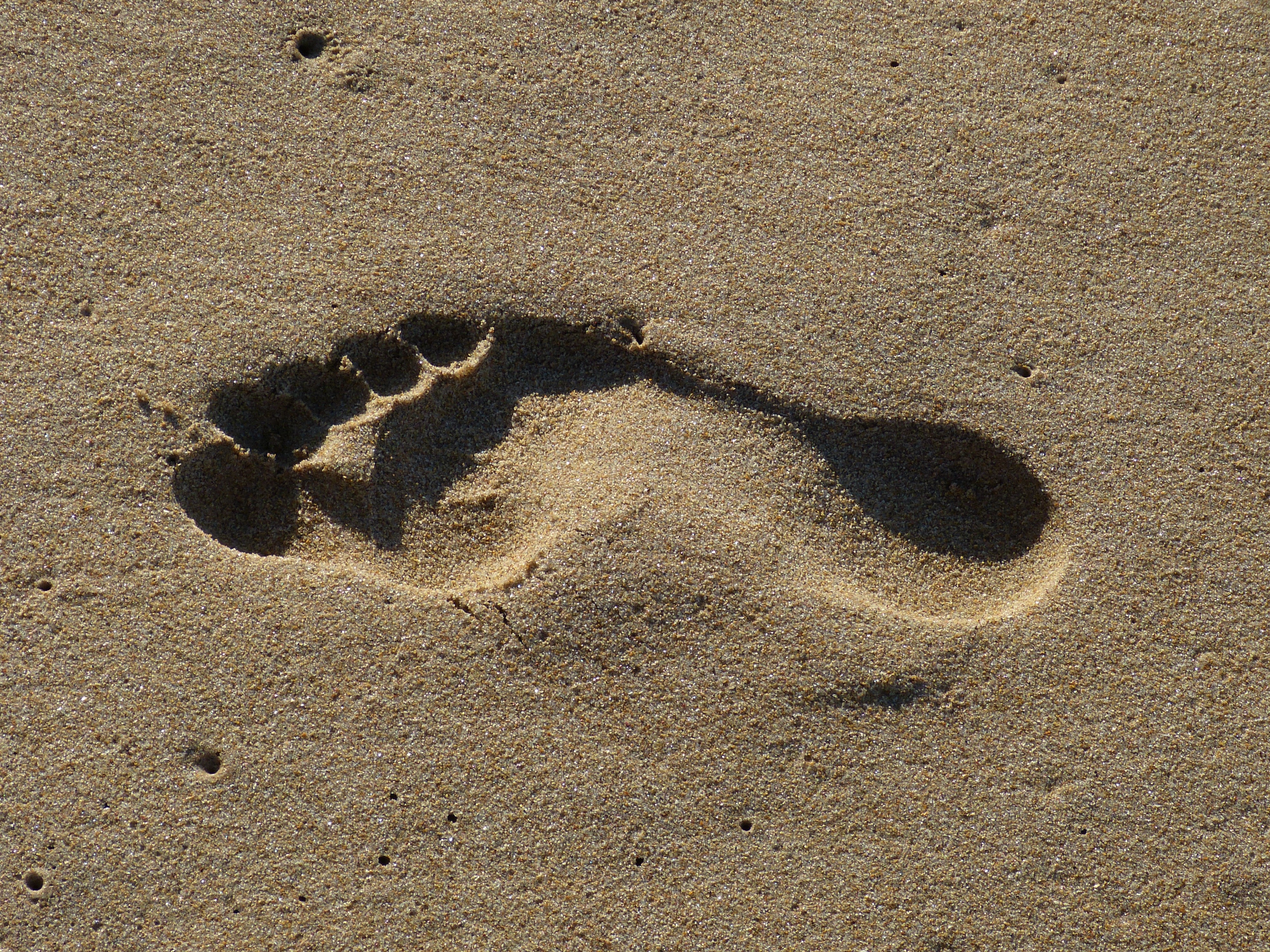 brown, sand beach, pattern, vacations, shadow, nature, no people, ten, wet, textured, land, track - imprint, trace, day, high angle view, sand, footprints in the sand, HD Wallpaper