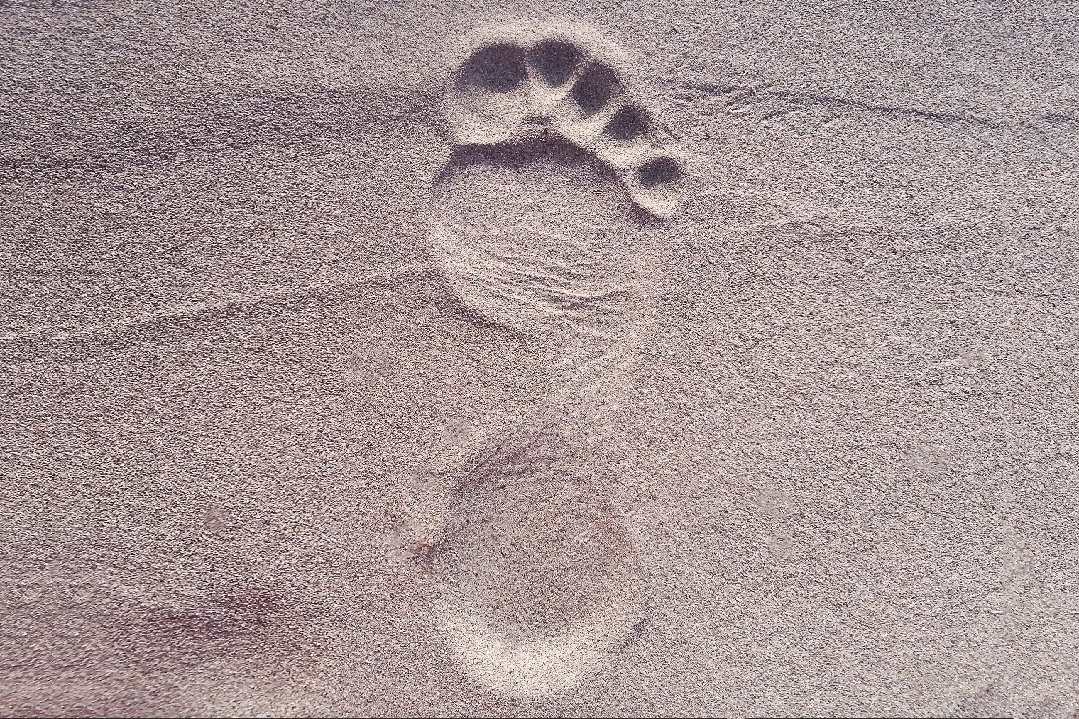 close-up, pattern, full frame, footprint, land, backgrounds, representation, foot, nature, art and craft, feet, high angle view, sand, textured, beach, HD Wallpaper