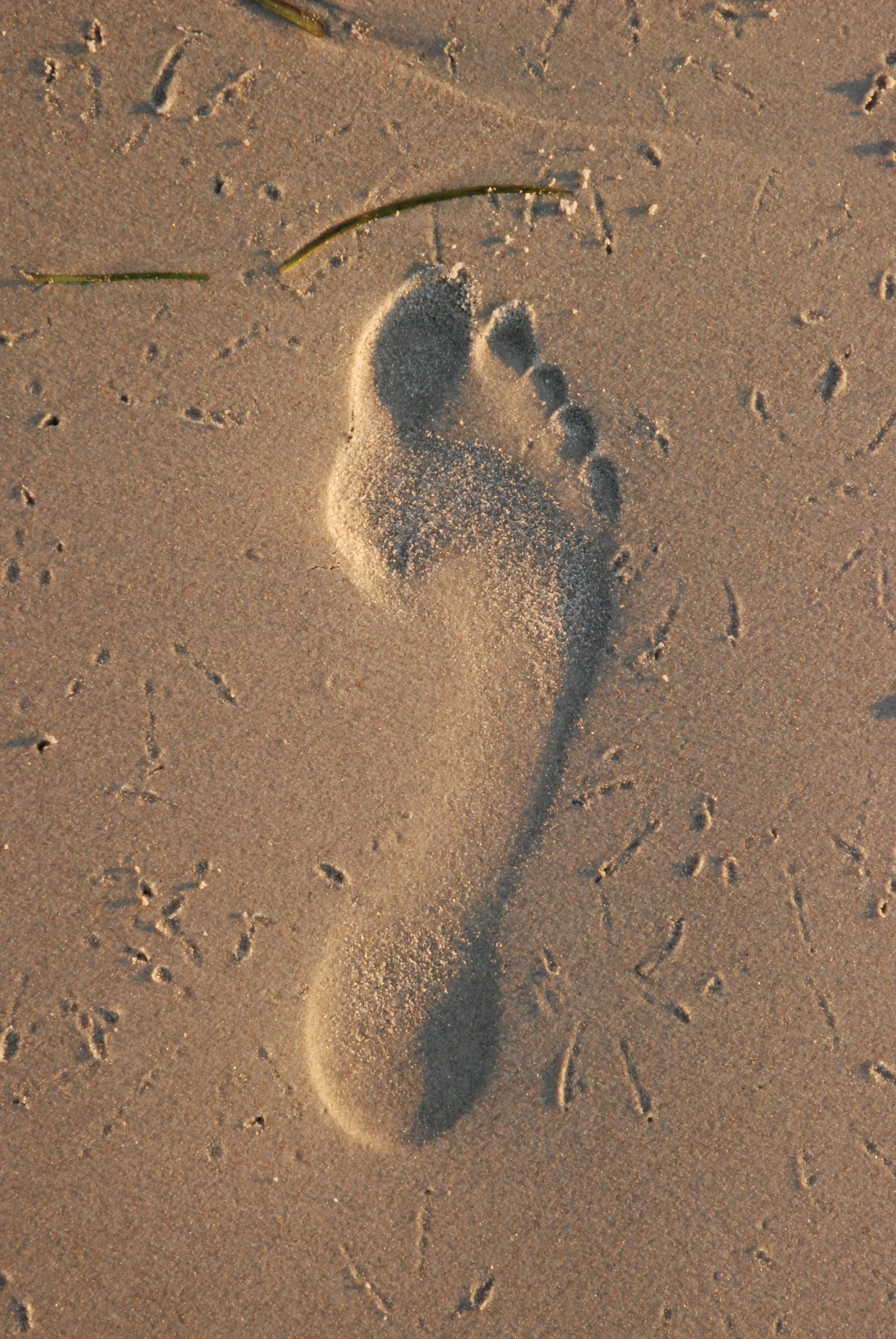 pattern, high angle view, first steps, heart shape, sand, walk, nature, coast, outdoors, 4K, no people, positive emotion, step, land, day, brown, footprint, Phone HD Wallpaper