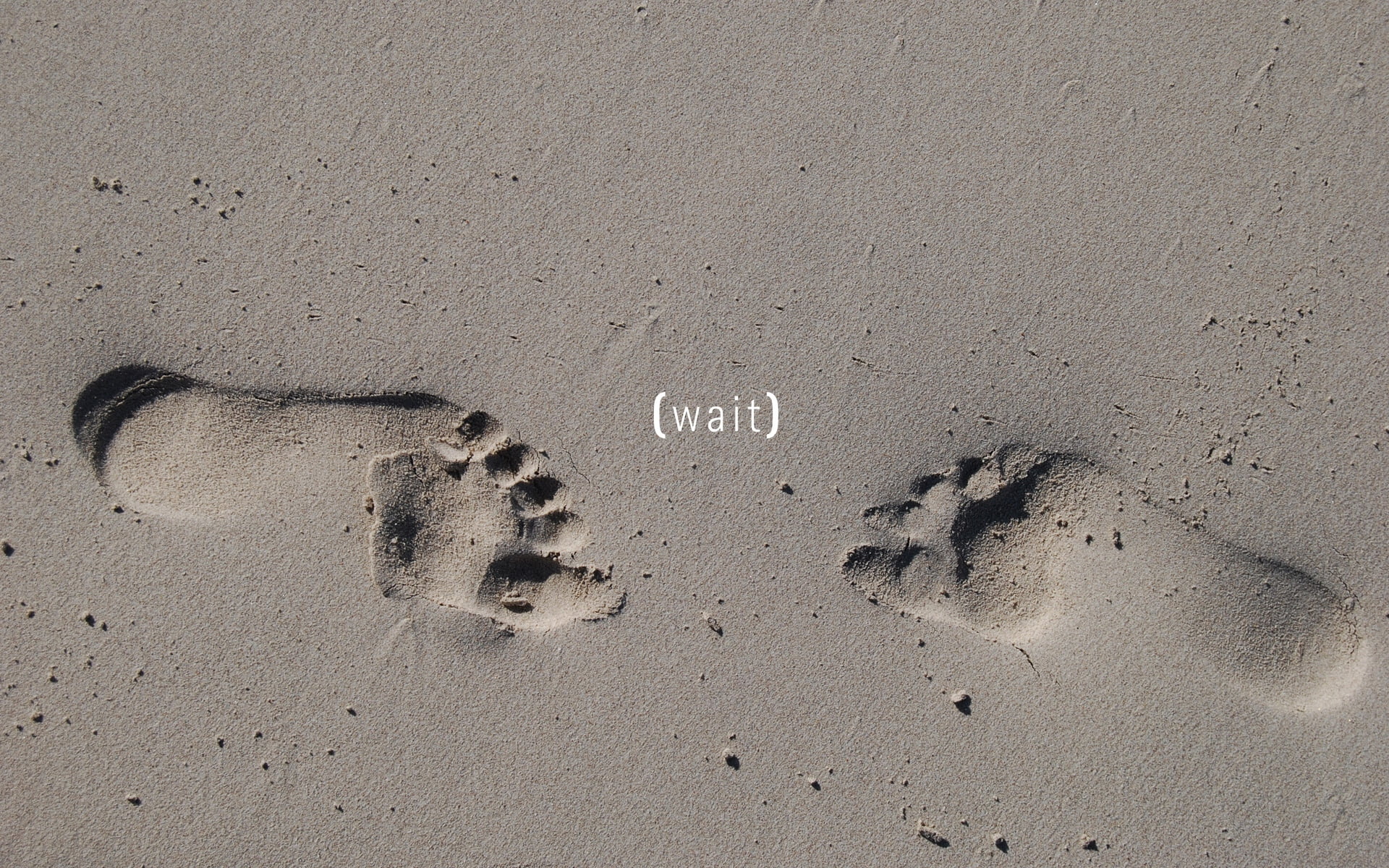 wait, nature, text, close-up, concepts, land, gray, barefoot, high angle view, animal track, footprint, western script, sea, beach, traces, art and craft, HD Wallpaper