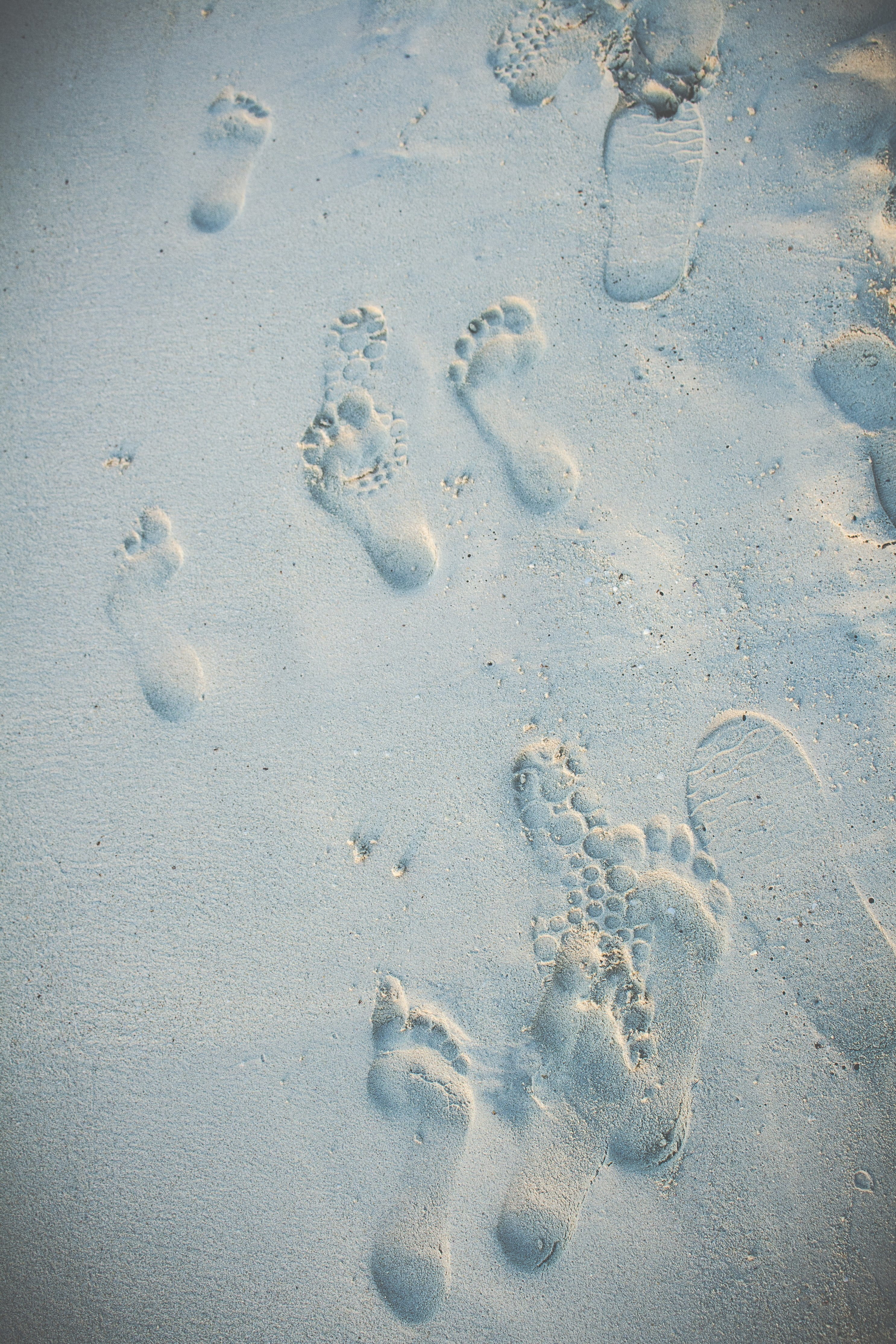 pattern, no people, footprints, wet, print, photo, track - imprint, sand, animal themes, mystery, animal track, nature, Healthy Lifestyle, beach, paw print, Phone HD Wallpaper