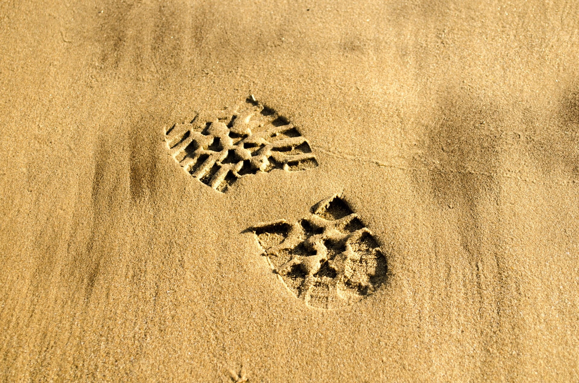 textured, outdoors, land, step, print, pattern, one animal, brown, concept, abstract, animals in the wild, wet, footprint, walk, nature, directly above, HD Wallpaper
