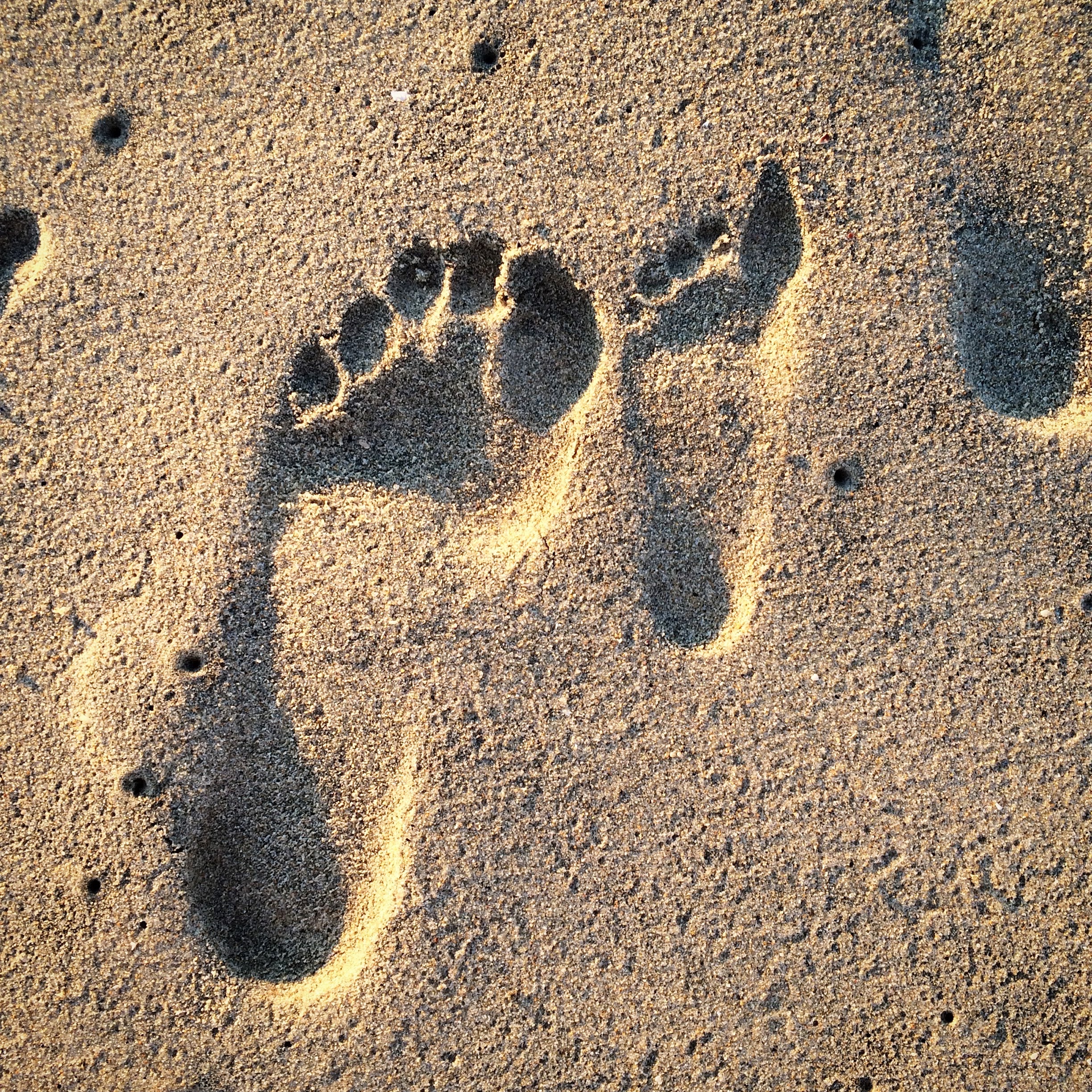 textured, footprints, representation, paw print, sunlight, high angle view, day, pattern, nature, beach, brown, 1080P, footprint, print, creativity, no people, Phone HD Wallpaper