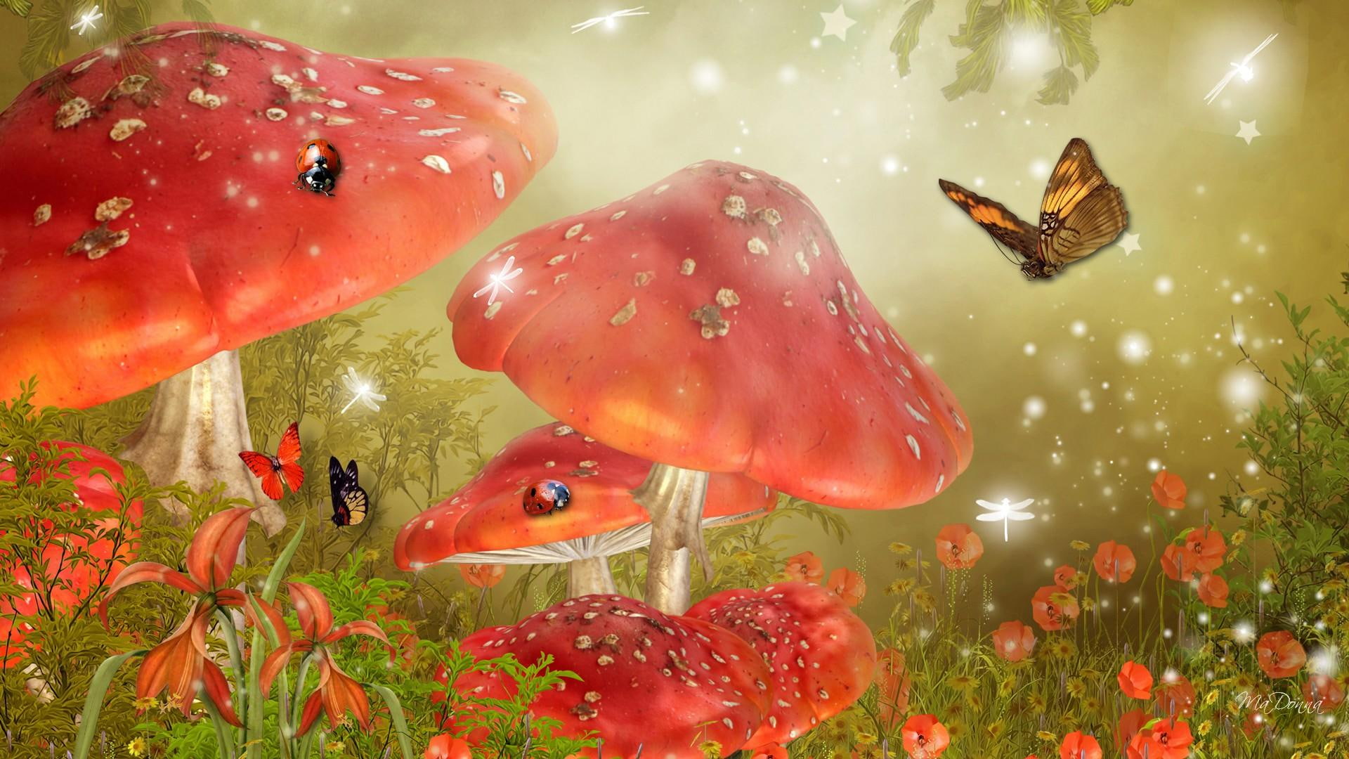 field, butt, mushrooms, papillon, mystical, sparkles, dragonfly, flowers, ladybugs, lady bug, poppies, e bright, 1080P, HD Wallpaper