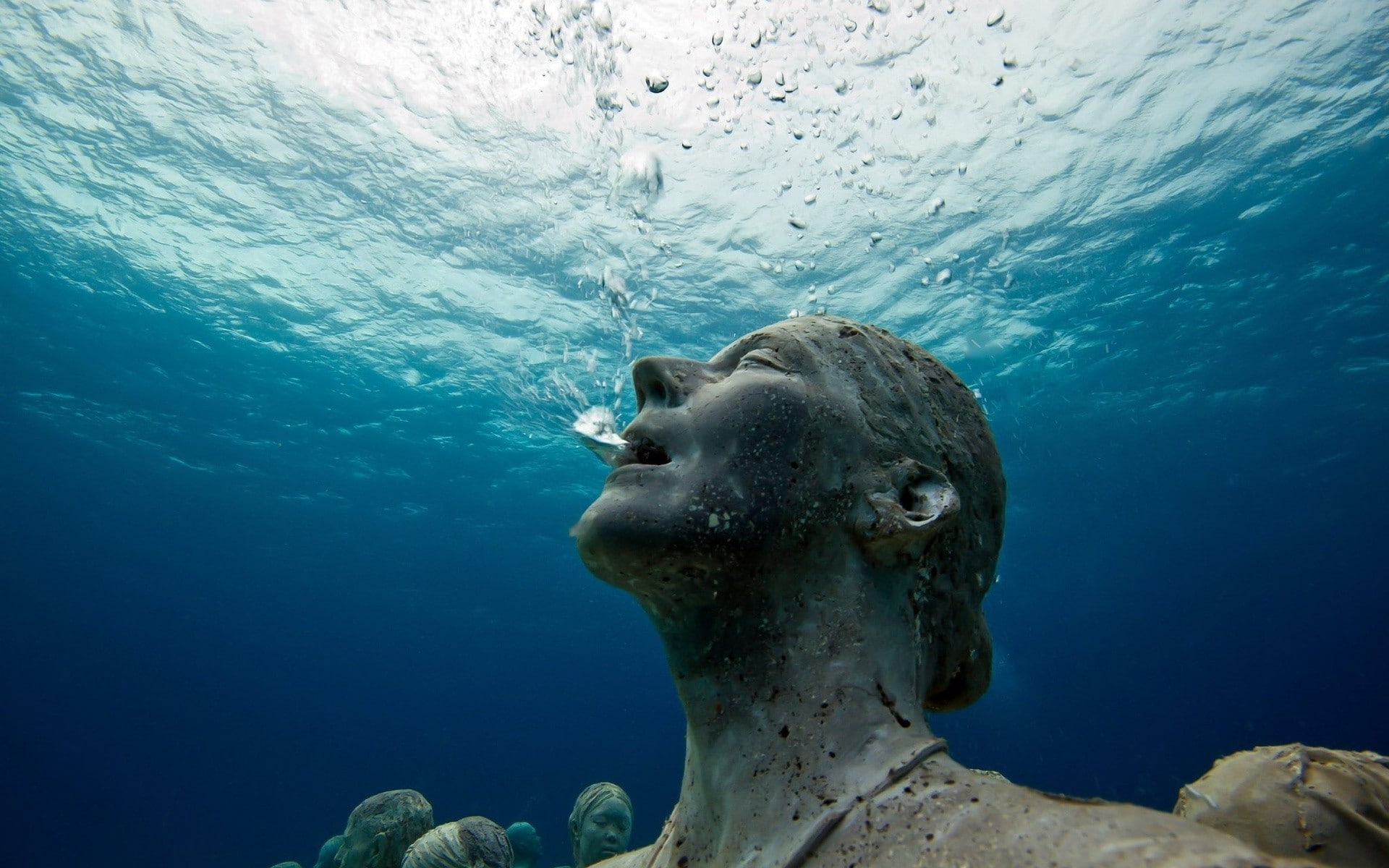 close-up, outdoors, 1080P, statue, one animal, vertebrate, animal themes, animal wildlife, sea, marine, fish, mouth open, underwater, undersea, animals in the wild, HD Wallpaper