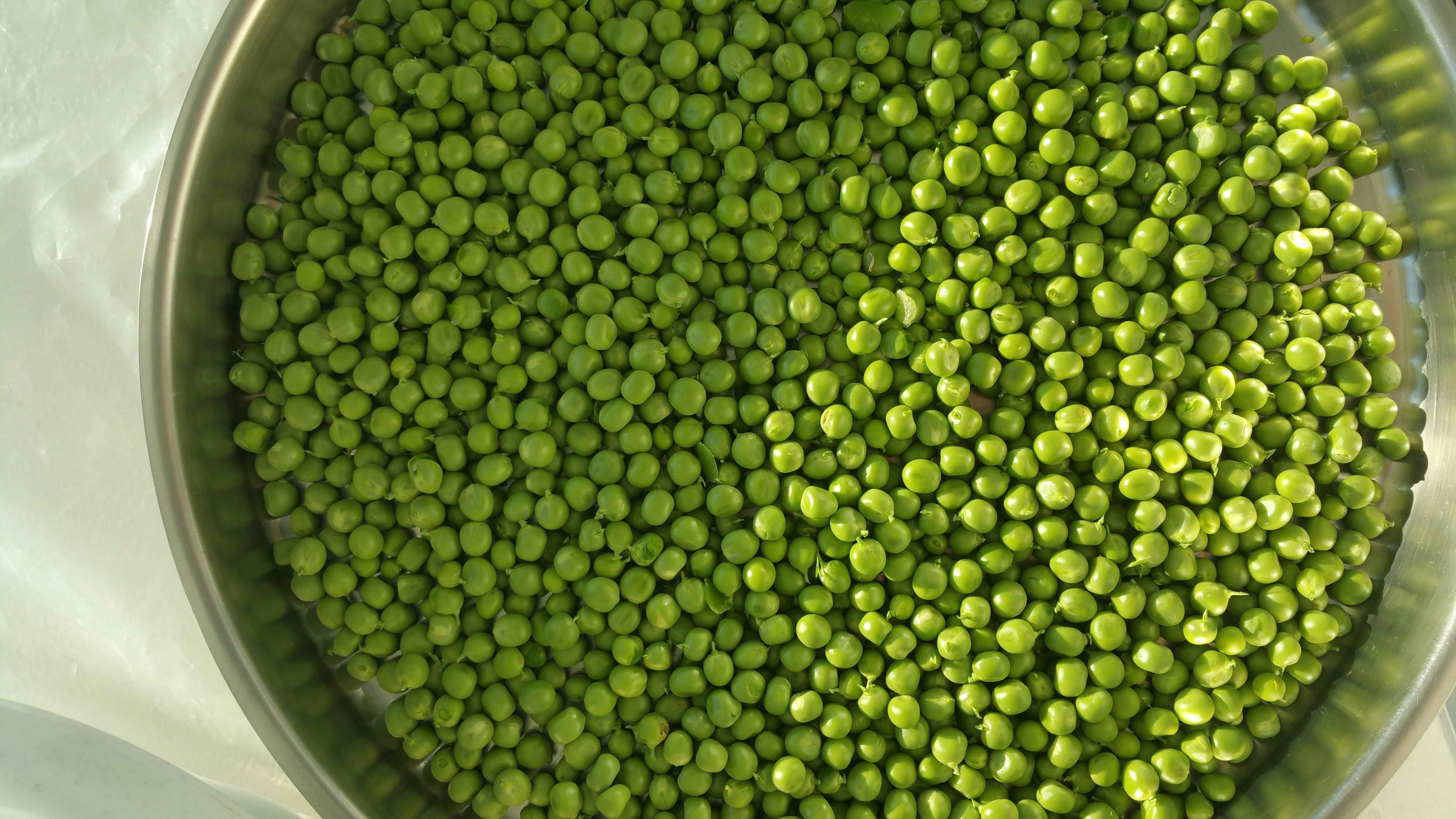 green stuff, organic, bean, eat, high angle view, indoors, bowl, garden, healthy, vegetables, harvest, directly above, food, abundance, vegetable, vegetarian food, HD Wallpaper