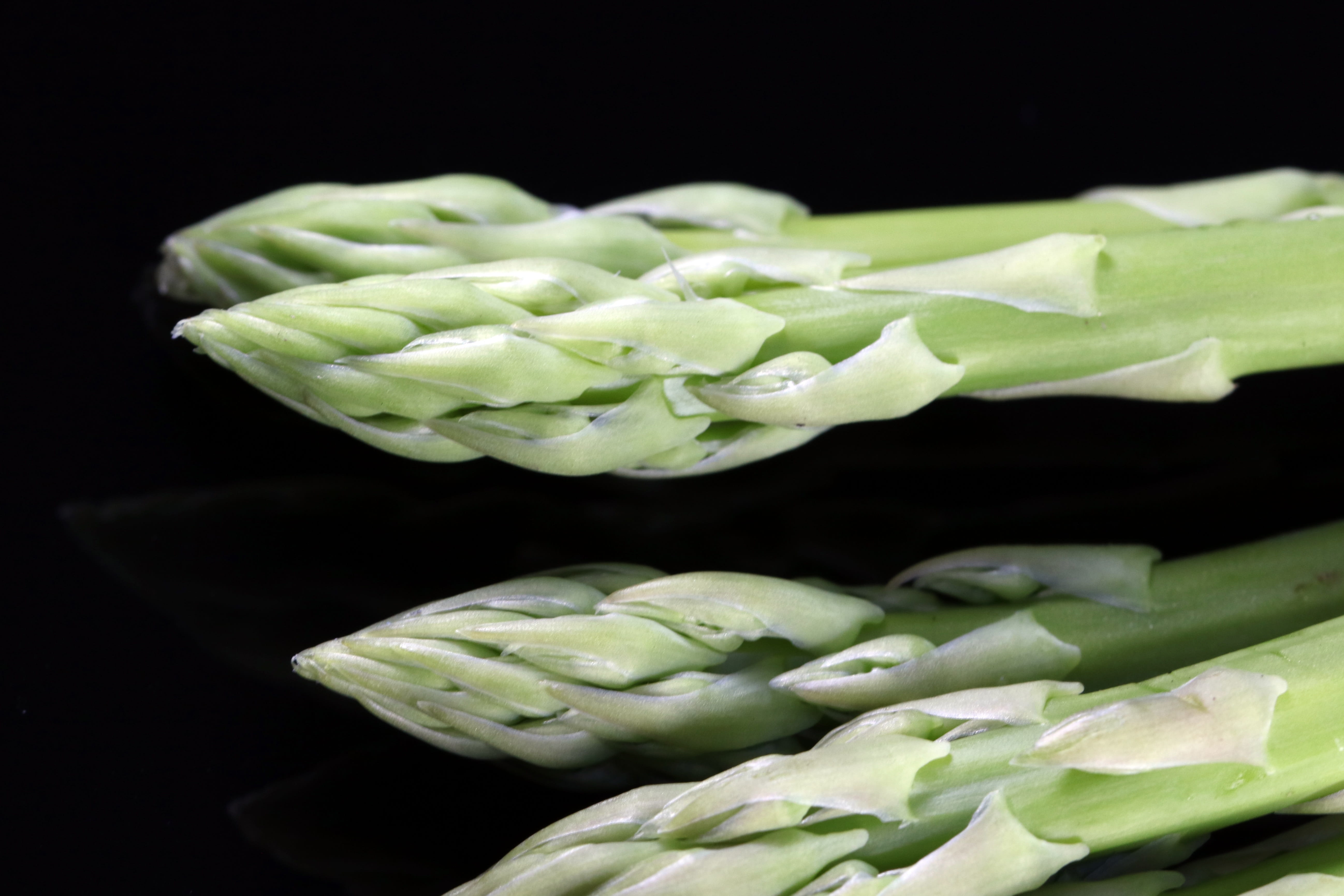food and drink, still life, healthy eating, plant stem, vegetable, 5K, group of objects, ingredient, indoors, stuff, close-up, green, nutrition, green color, HD Wallpaper