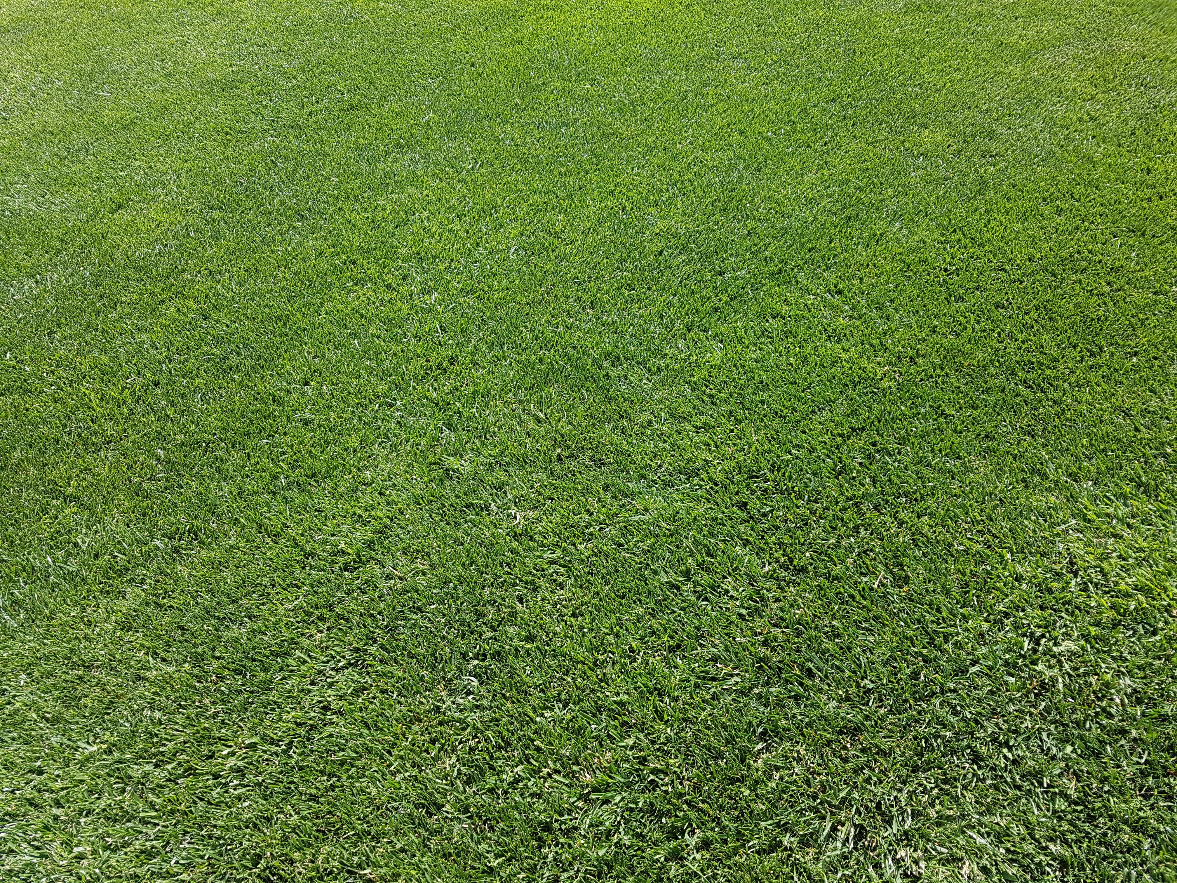 soccer field, growth, green - golf course, lush green, no people, field, full frame, american football field, 4K, green color, sport, outdoors, turf, high angle view, HD Wallpaper