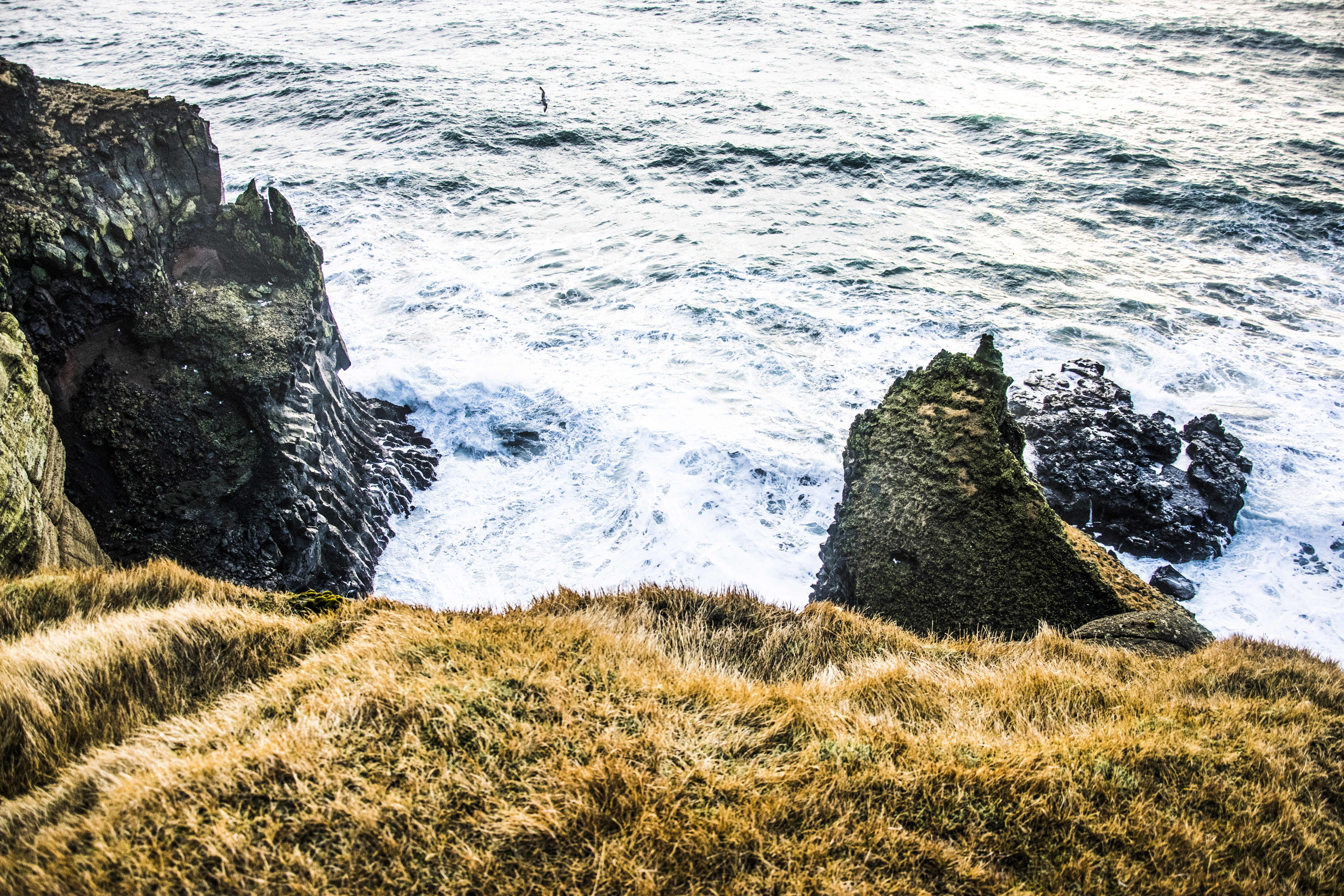 wild, island, flowing water, 5K, wafe, day, body, grass, rock - object, coast, water, wave, rocky shore, aquatic sport, plant, seashore, land, power in nature, HD Wallpaper