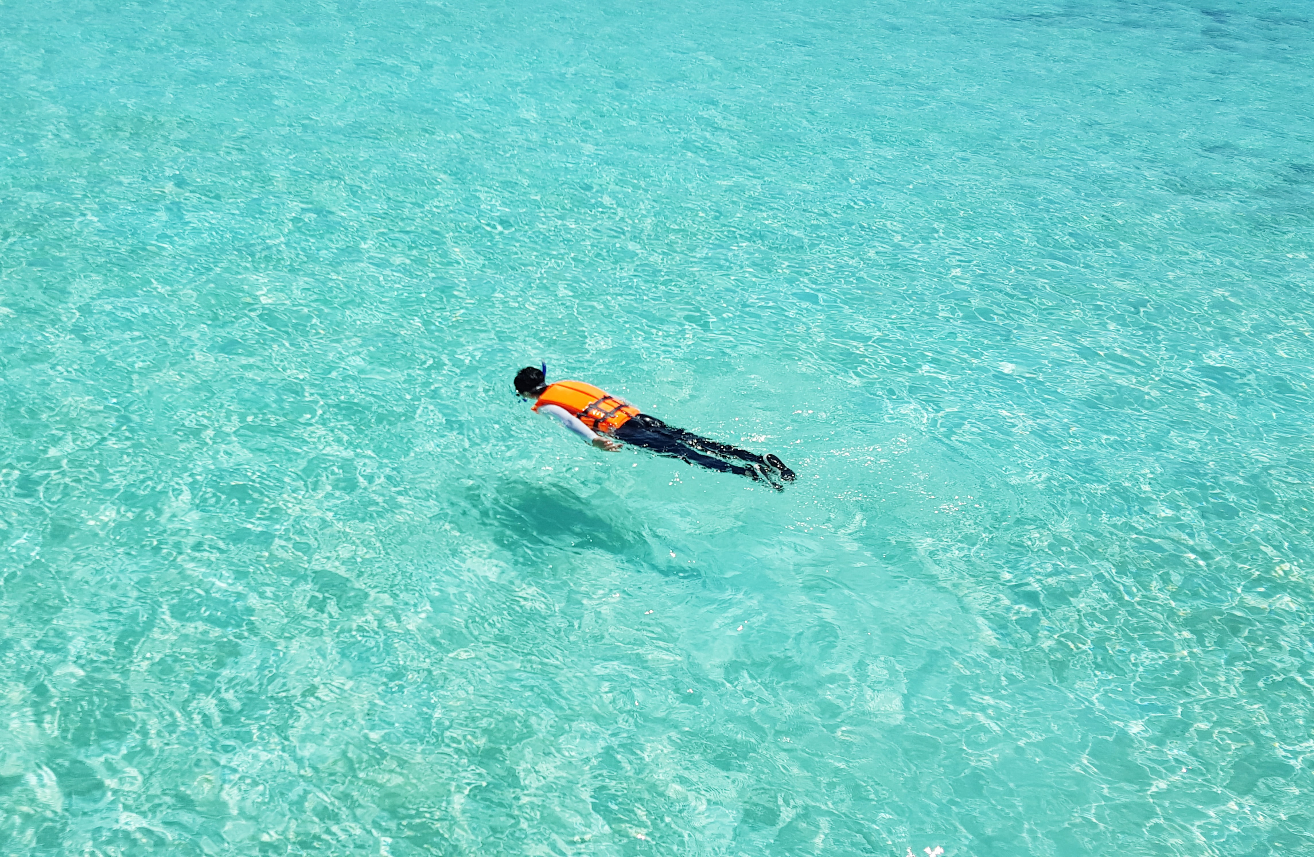 emerald sea, blue sea, body, coral beach, blue, high angle view, full length, 4K, swimming pool, outdoors, one person, water, floating, flotation, leisure activity, HD Wallpaper