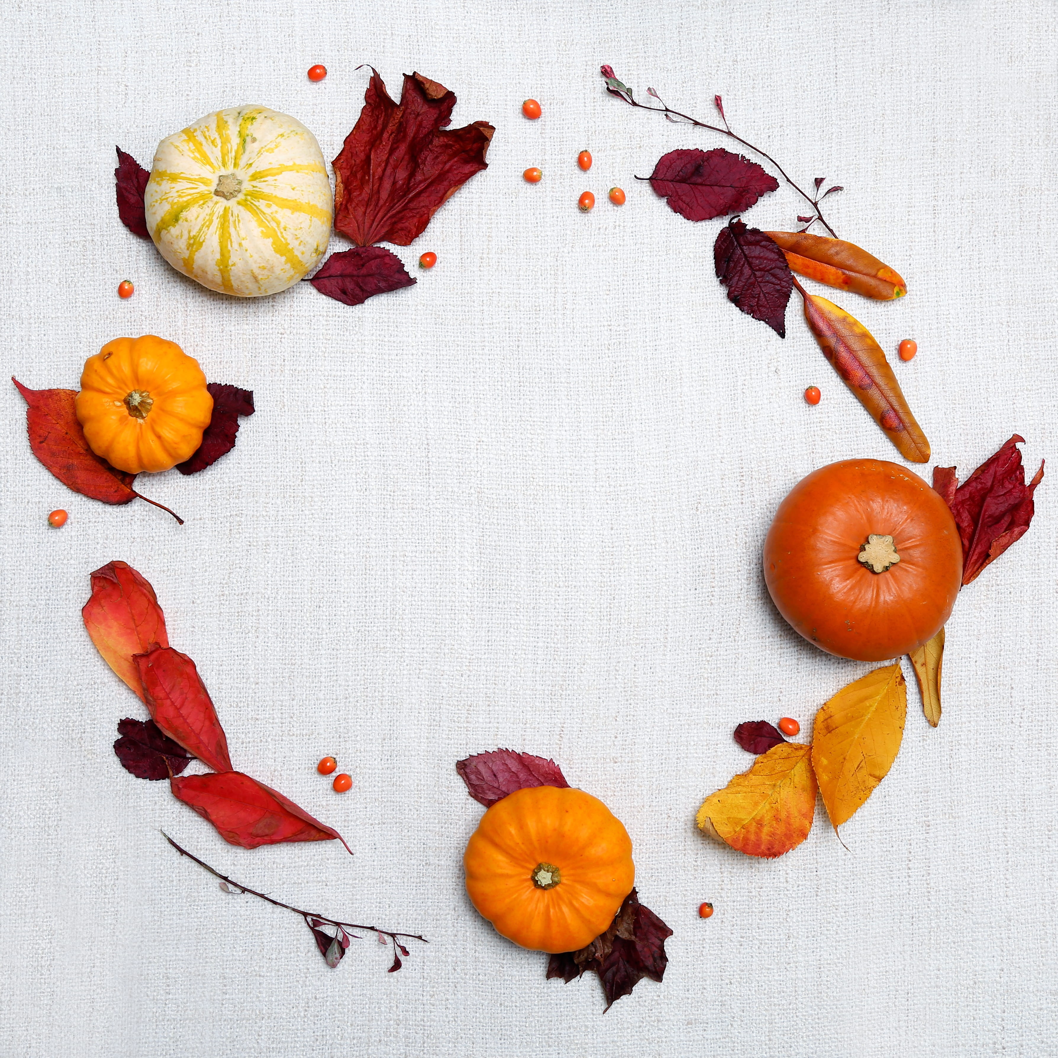 knolling - concept, fruit, indoors, gourde, studio shot, autumn, still life, multi colored, creativity, fall, autumnal, food and drink, leaves, wellbeing, Phone HD Wallpaper