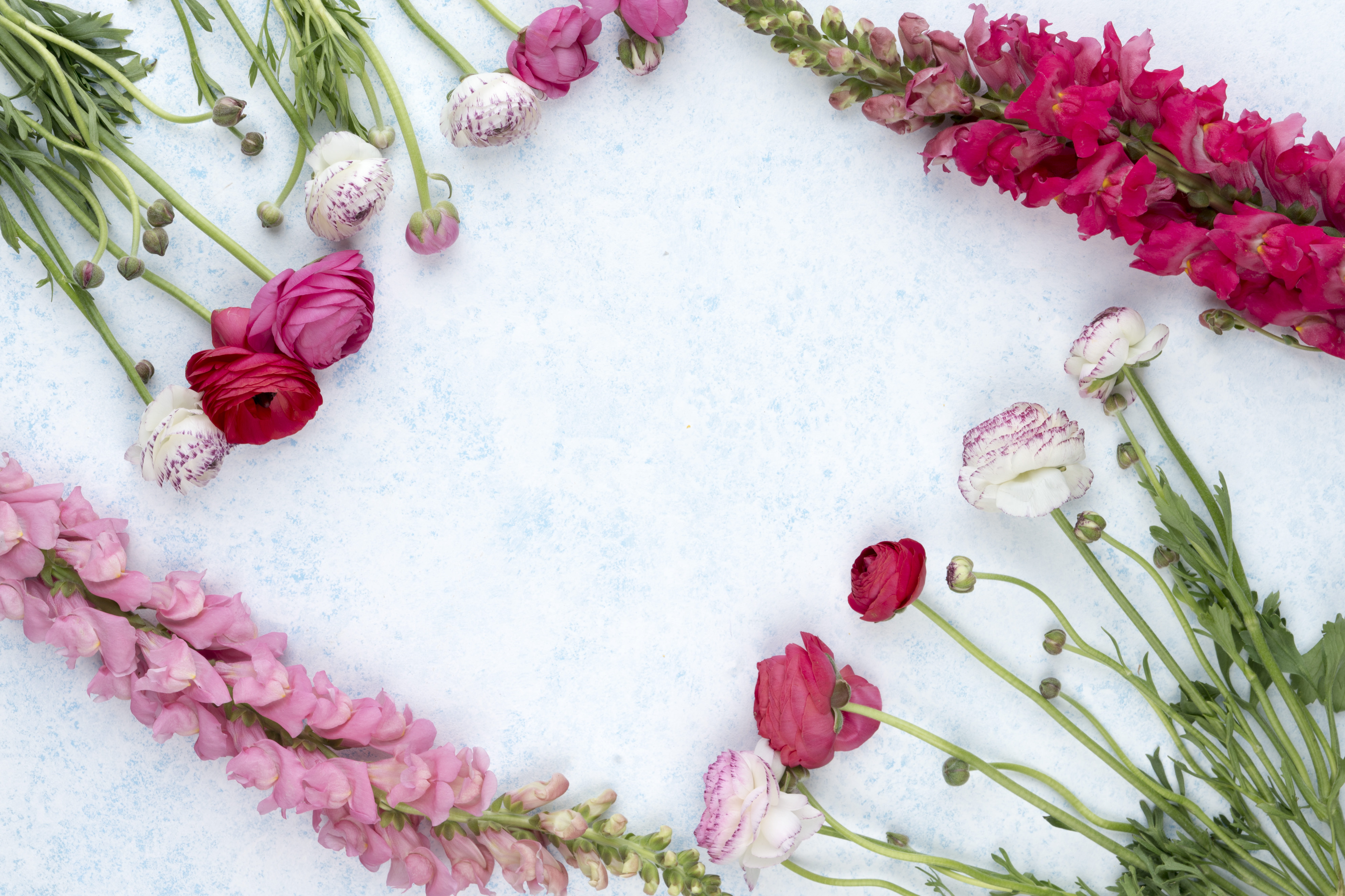 flower head, white, knolling - concept, celebration, high angle view, indoors, plant, rose - flower, directly above, flower arrangement, color, red, bouquet, HD Wallpaper