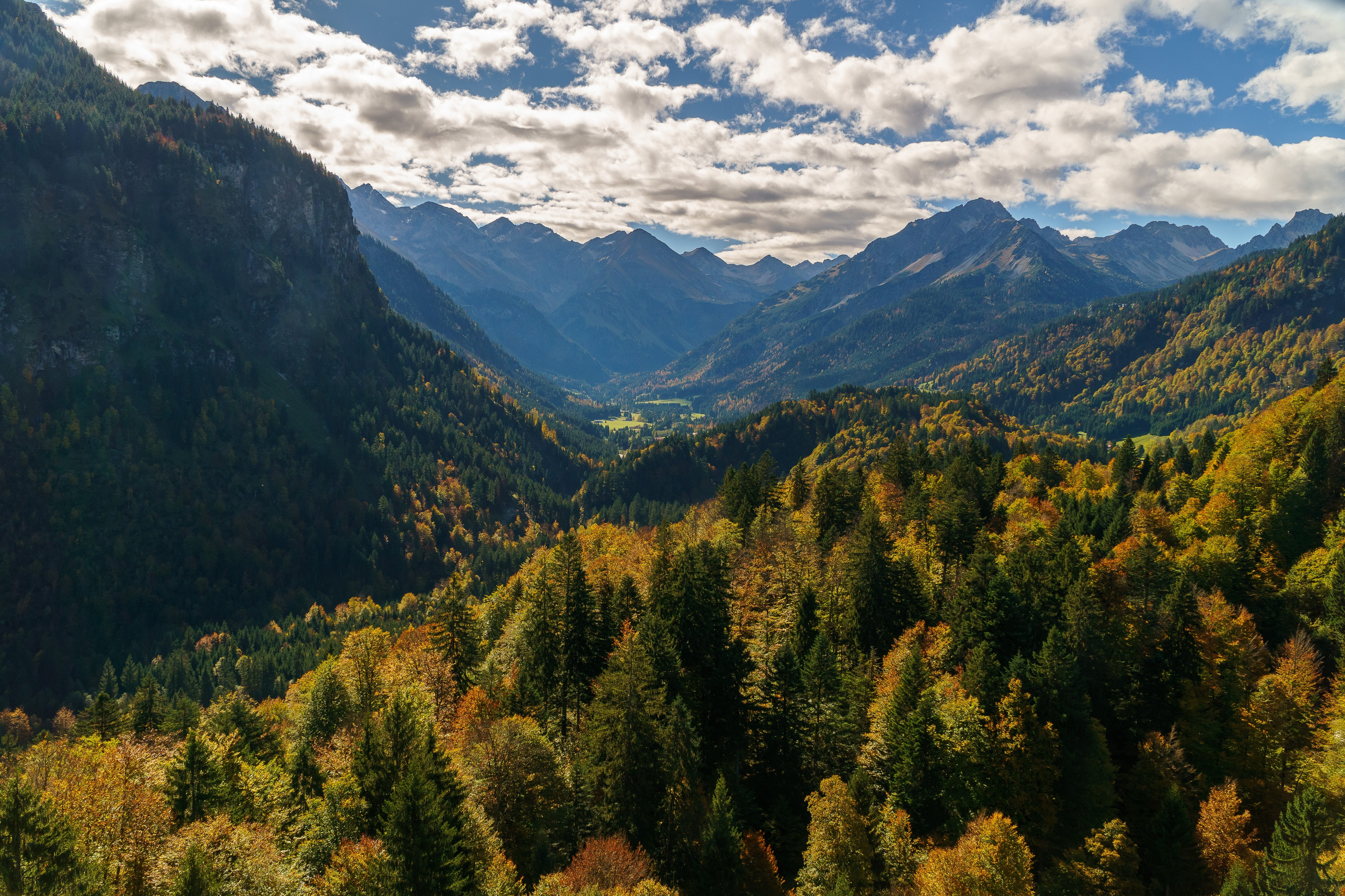coniferous tree, allgäu, scenics - nature, oberstdorf, pine woodland, non-urban scene, ski, growth, autumn colours, hiking, tranquil scene, heini klopfer ski flying hill, HD Wallpaper
