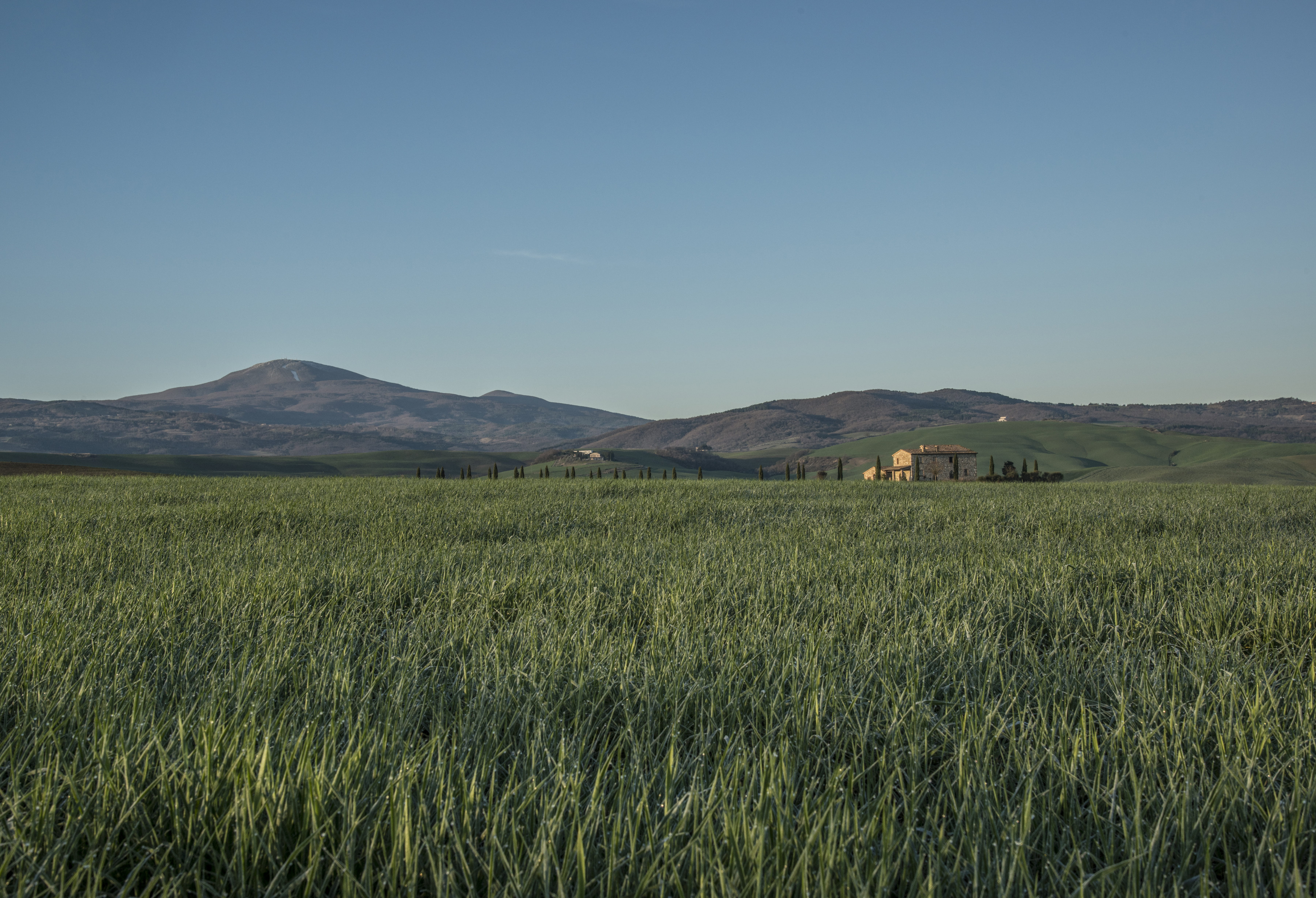 natural, day, cloud, scenics - nature, clear sky, cereal, mountain, outdoor, 5K, lawn, tranquil scene, landscape, crop, grass, growth, copy space, hill, HD Wallpaper