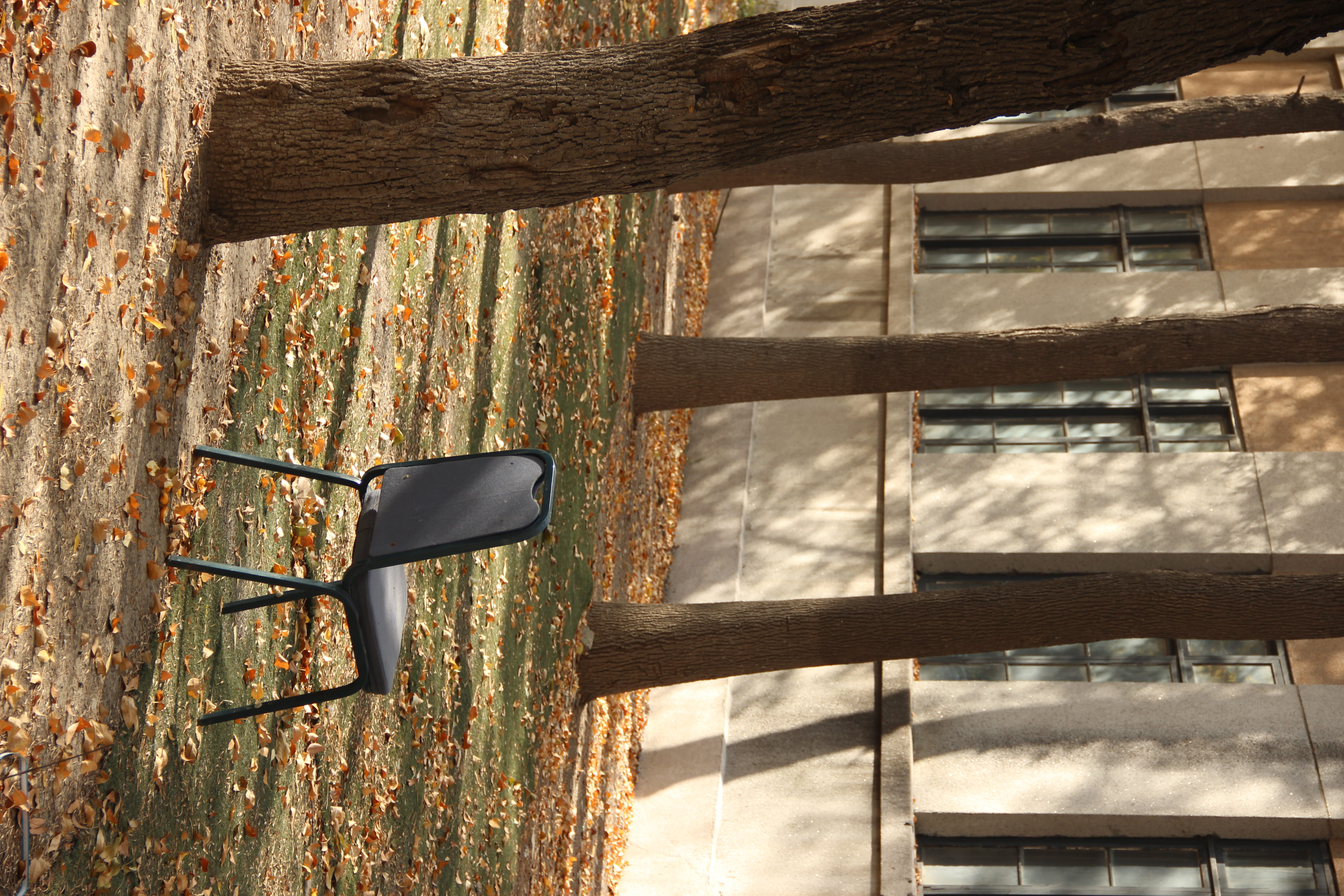 abandoned, nature, day, chair, window, building, built structure, glass - material, close-up, tree, shadow, 5K, blck, wall - building feature, metal, building exterior, HD Wallpaper