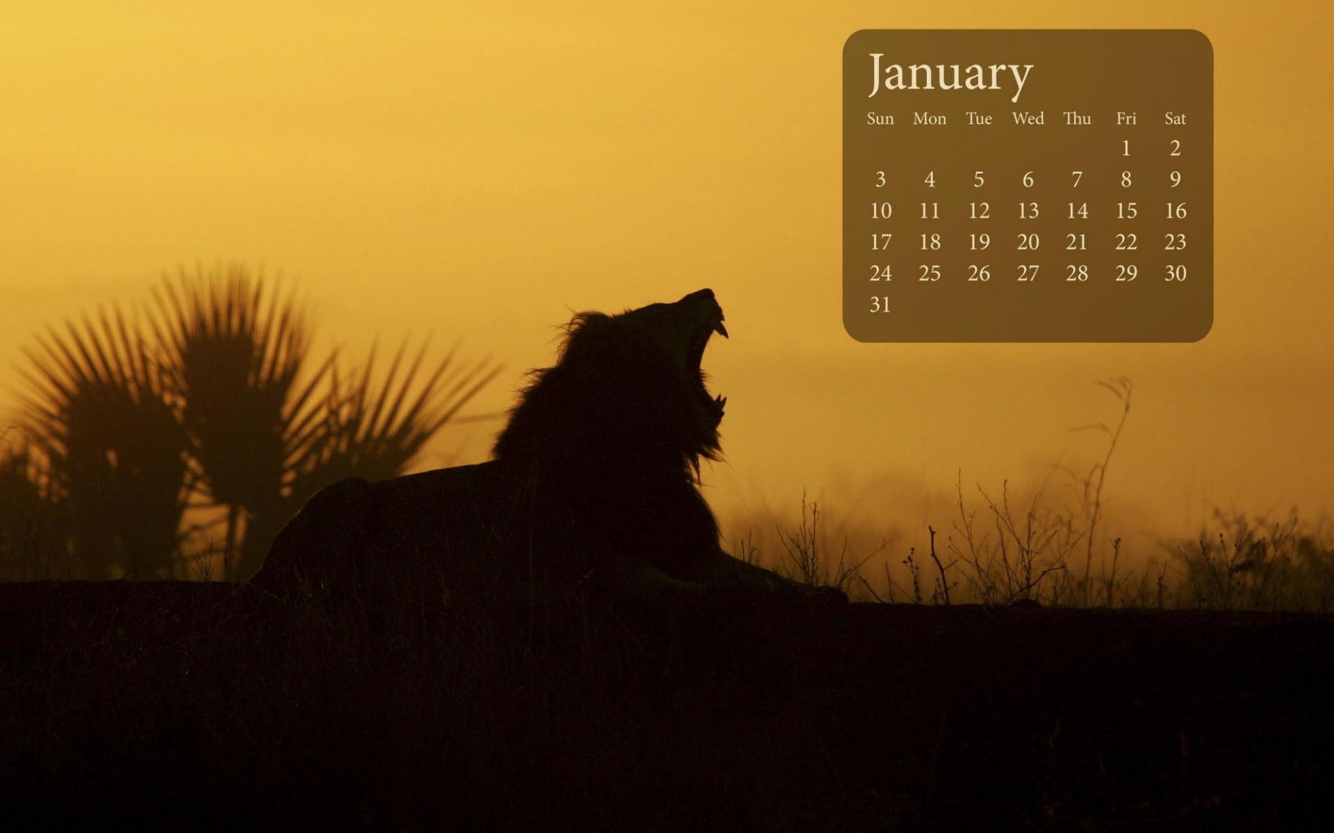 new year, january, lion, 2010, 1080P, calender, calendar, sunrise, silhouette, HD Wallpaper