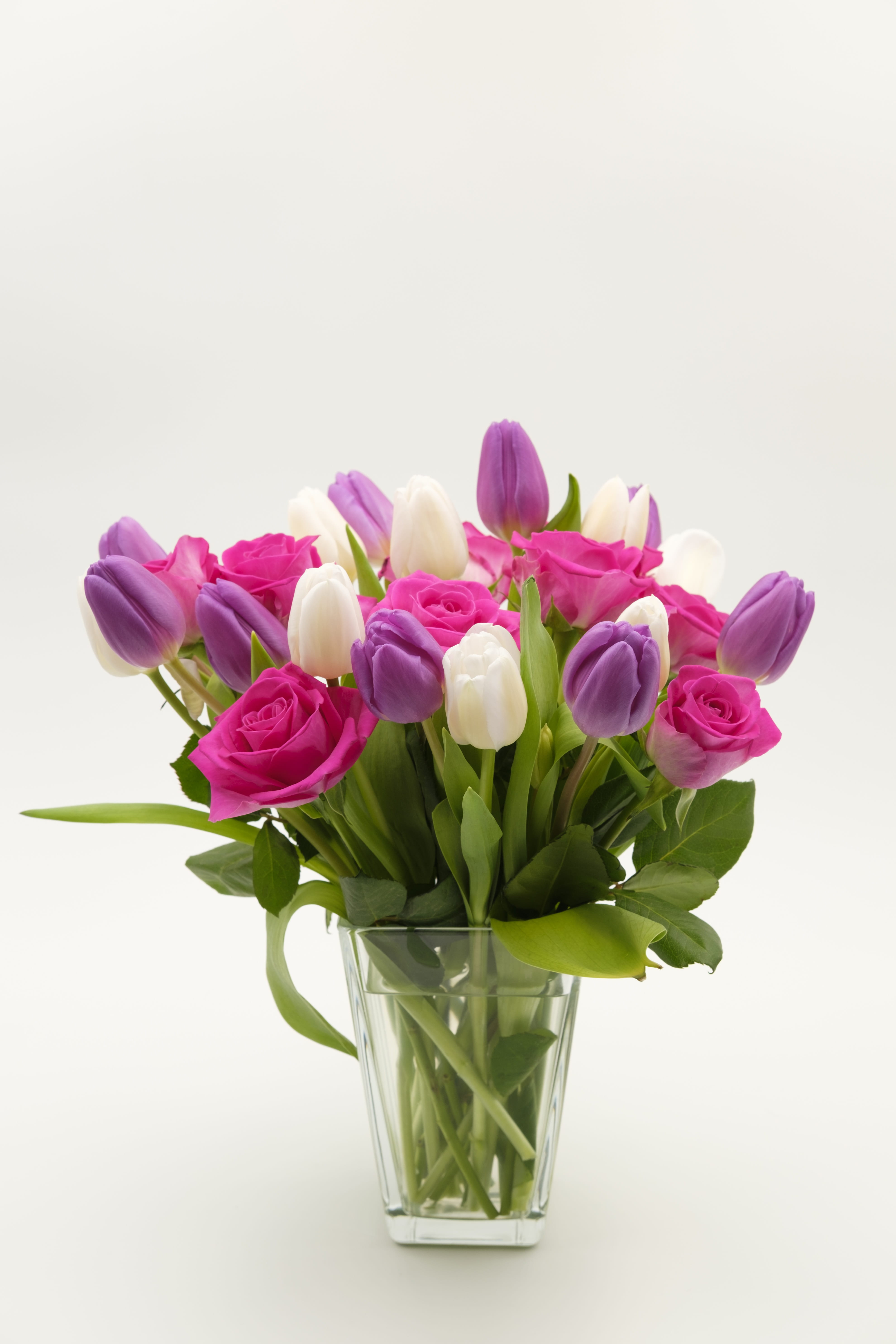 no people, pink, flower head, birthday card, tulip bouquet, close-up, vulnerability, arrangement, studio shot, petal, bunch of flowers, 5K, spring, nature, Phone HD Wallpaper