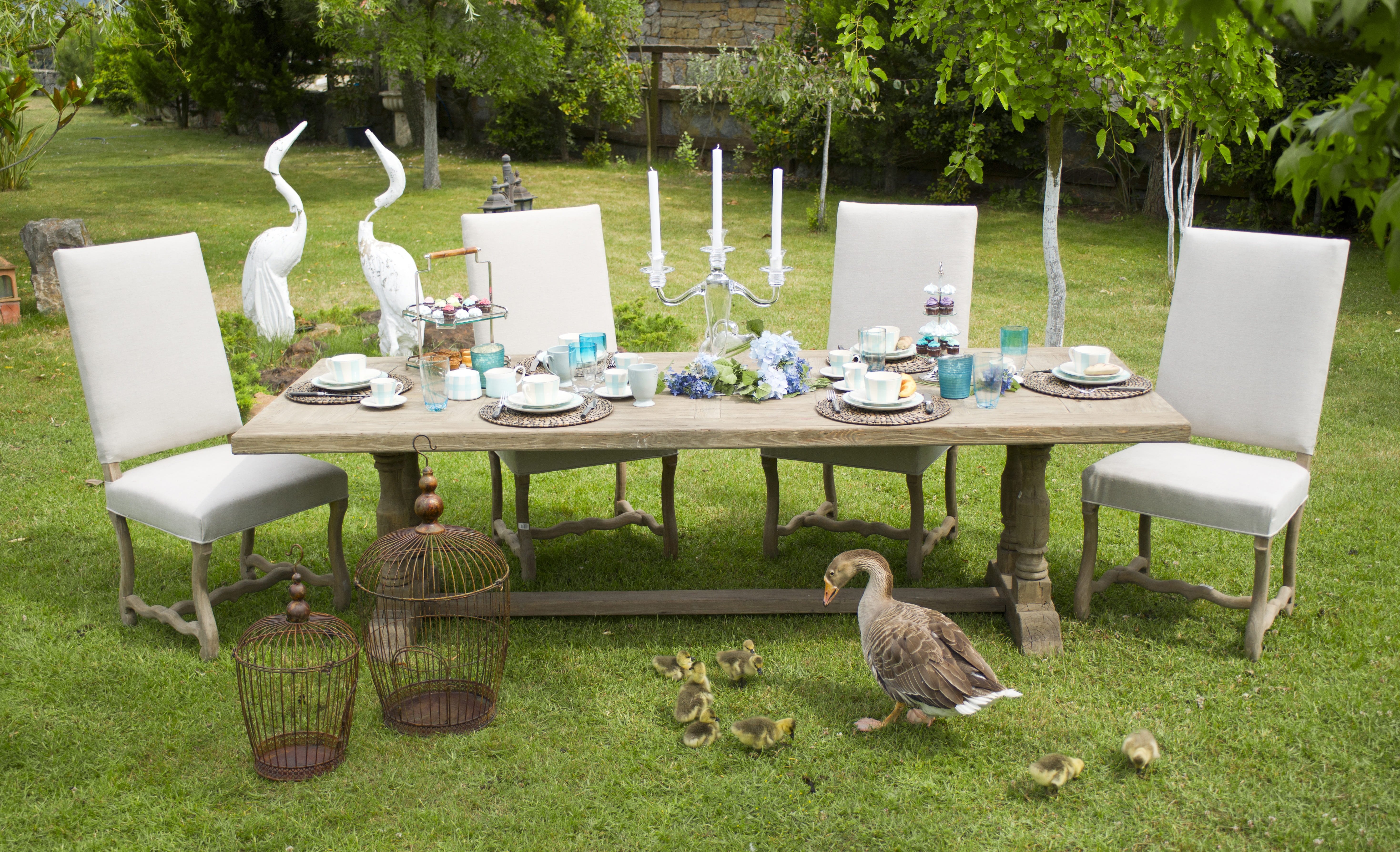 garden, vertebrate, chair, souvenir, family, home, color, food photo, good morning, nobody, goose, celebration, furniture, wooden, plant, glass, 5K, restaurant, HD Wallpaper