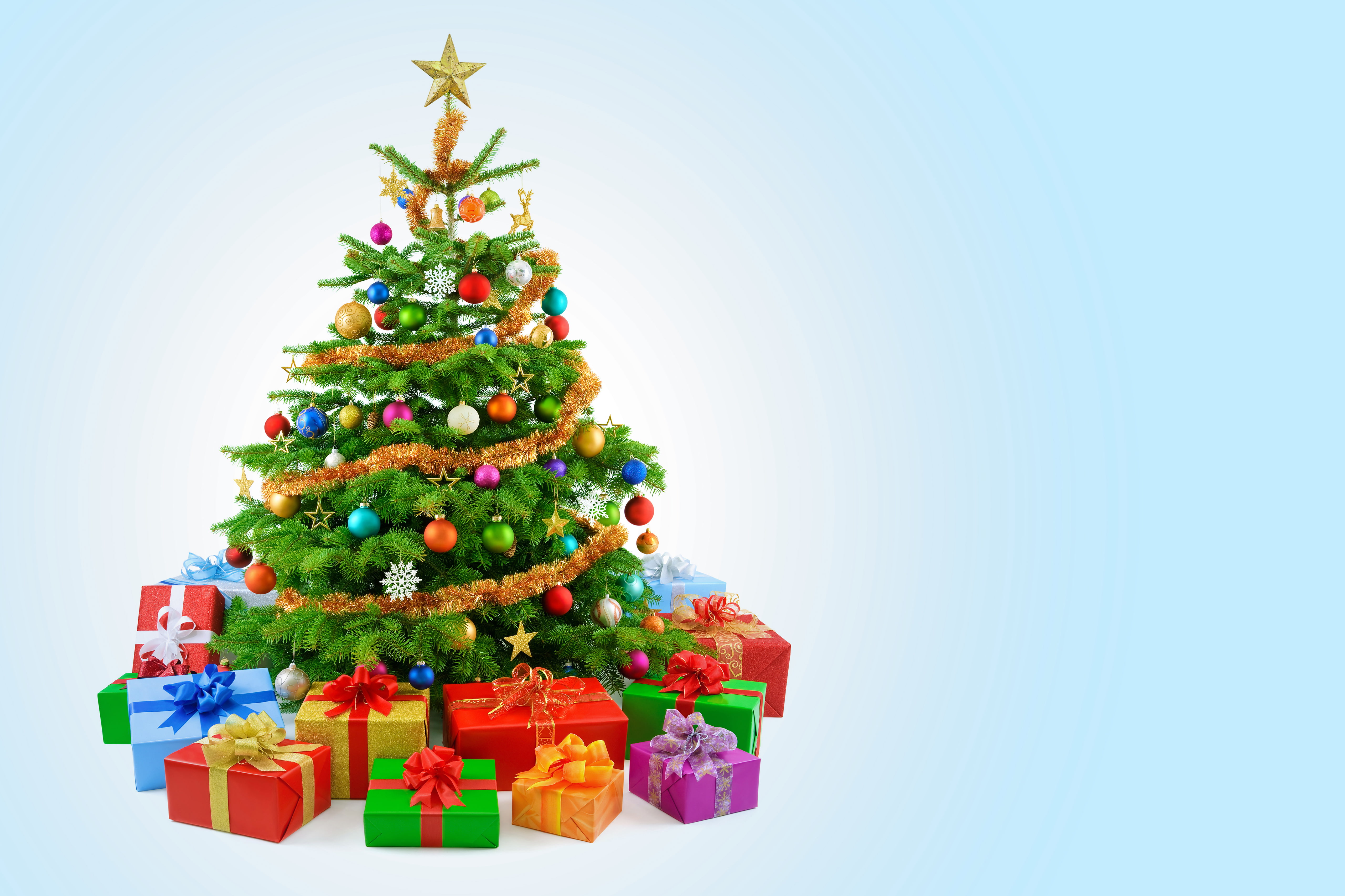 celebration, Decoration, indoors, 5K, 5K, tree, gift box, box - container, christmas ornament, Gifts, plant, event, no people, Christmas tree, celebration event, HD Wallpaper