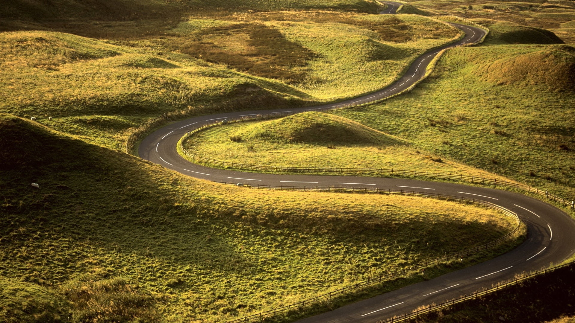 scenics - nature, summer, asphalt, tree, highway, s-shape, serpentine, faltering, non-Urban Scene, fields, rural Scene, green, road, tranquility, mountain, HD Wallpaper