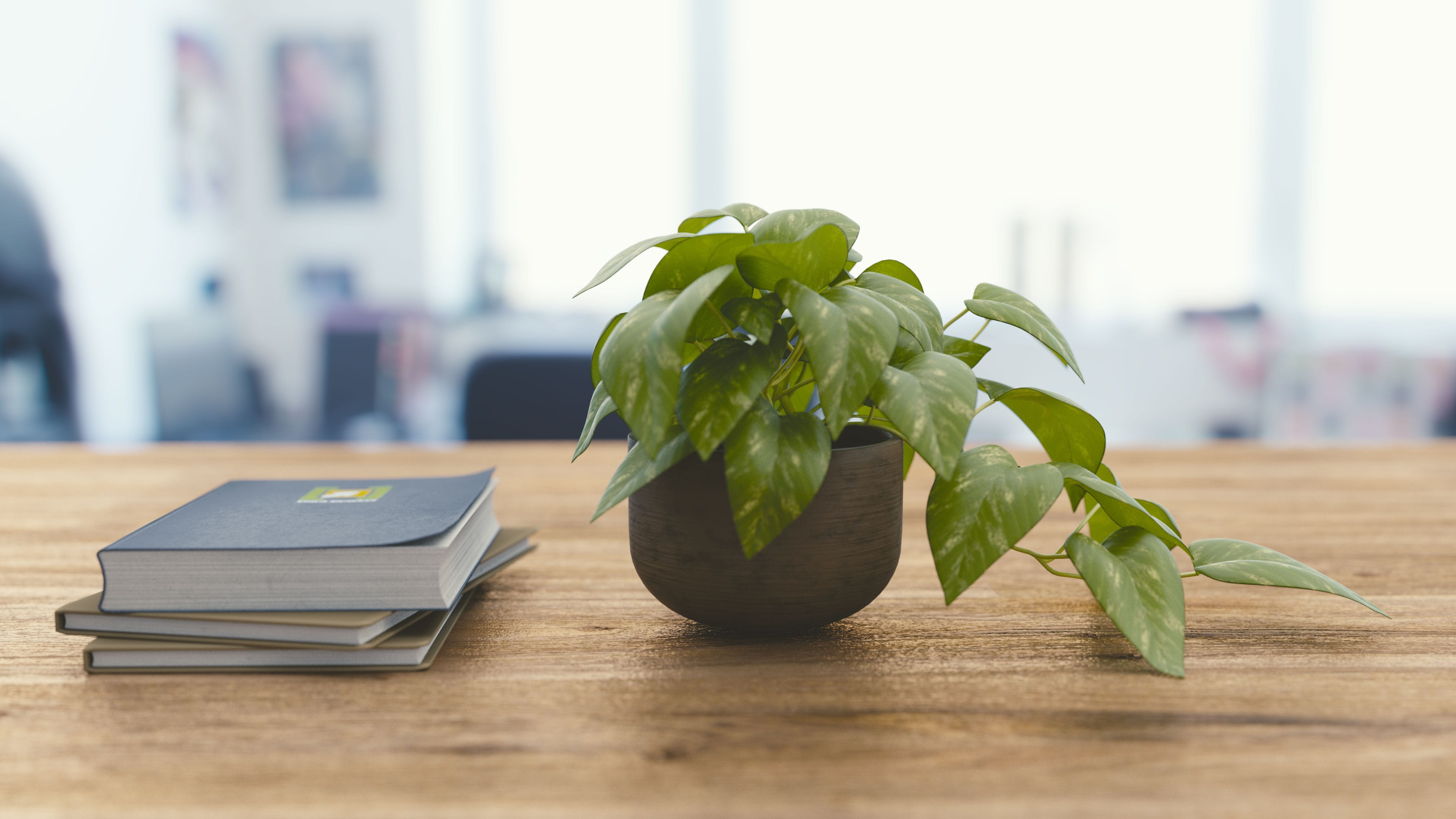 table, plant part, close-up, food and drink, beside, connection, communication, green, books, no people, leafed, focus on foreground, day, indoors, office, HD Wallpaper