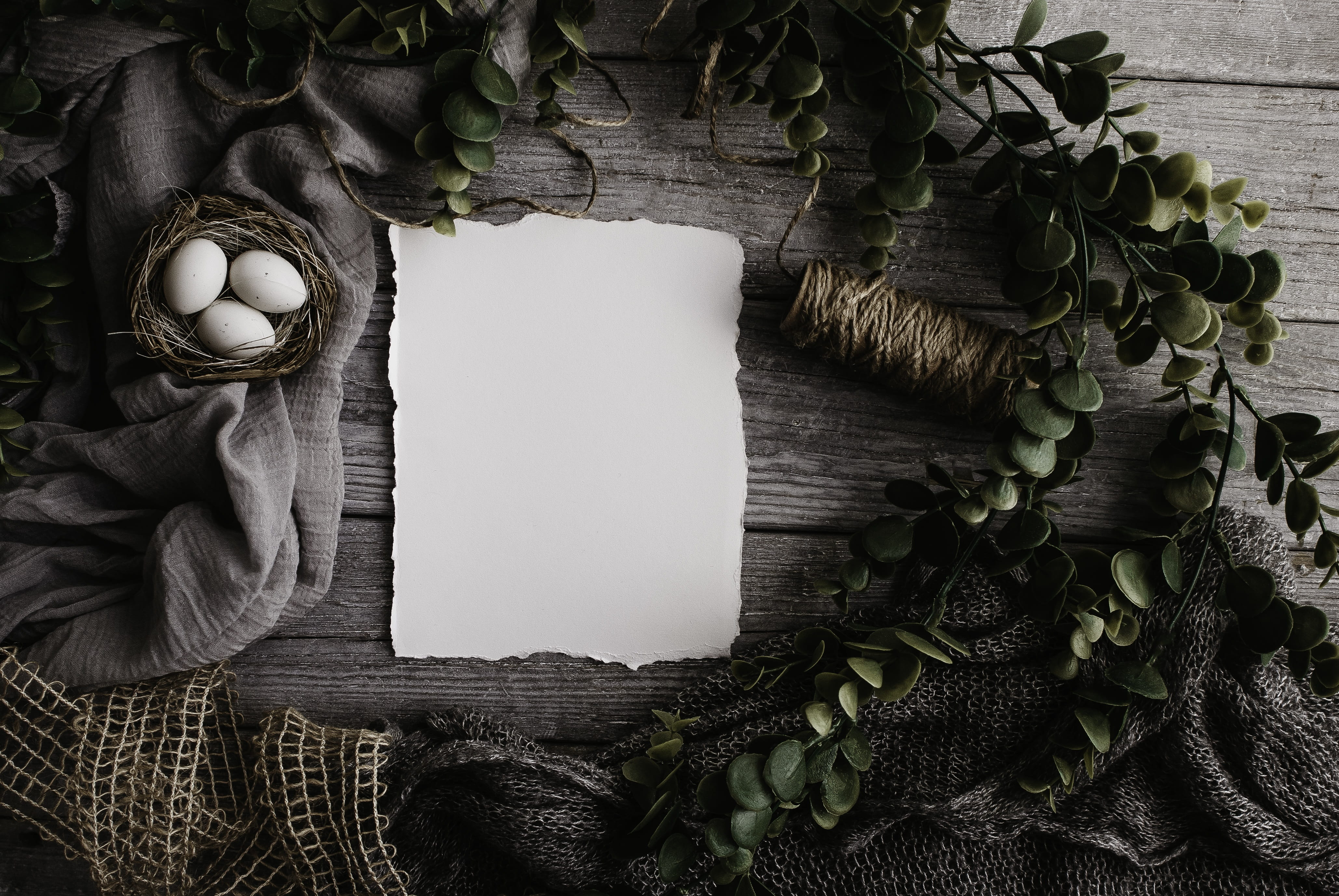 plant part, plant, greenery, decoration, scandinavian, nest, food and drink, frame, nature, wood - material, green color, blank, easter, clear paper, flat lay, HD Wallpaper