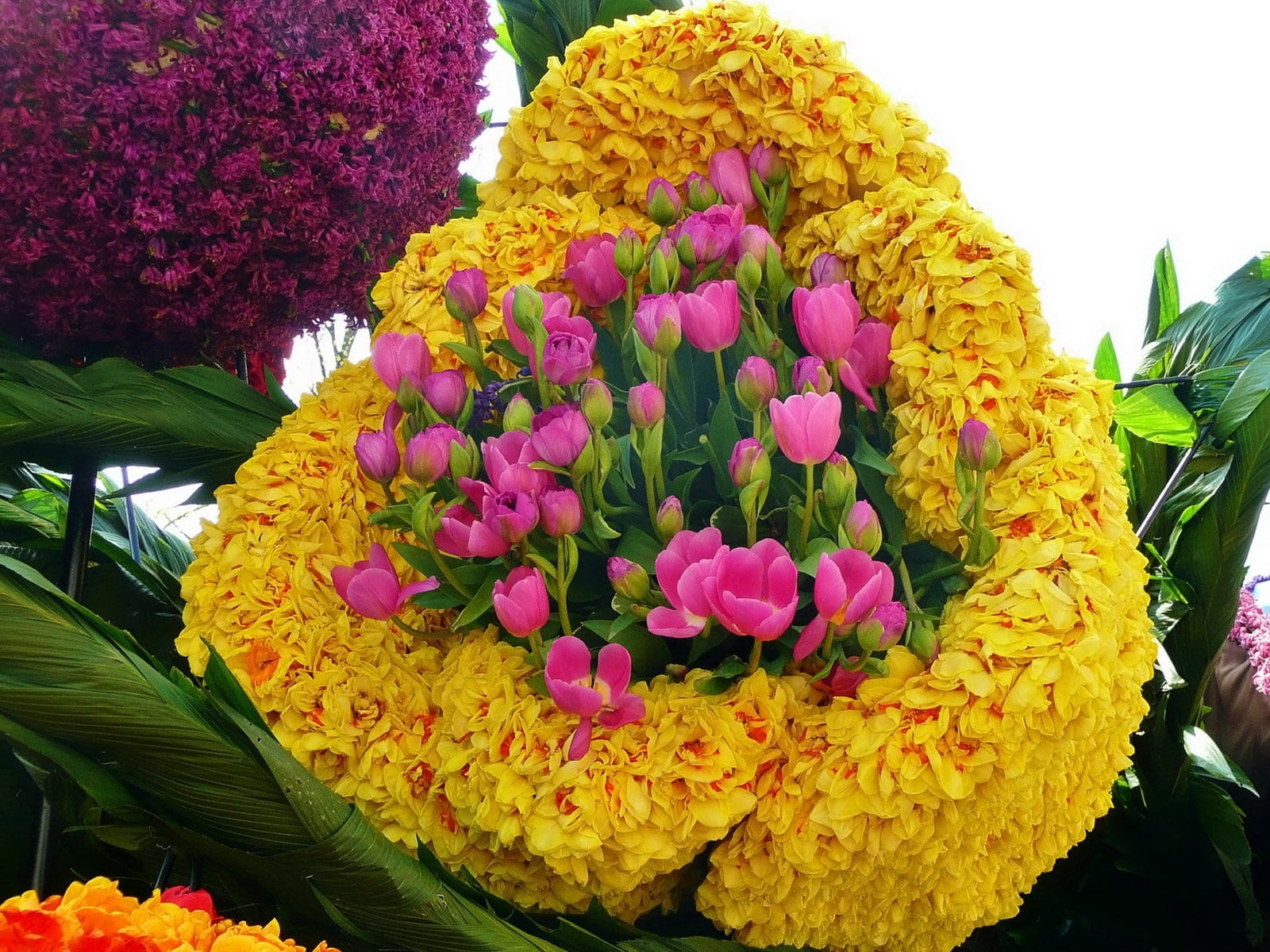 flower head, bouquet, flowers, plant, colorfully, pink, yellow, growth, nature, flowering plant, multi colored, 720P, fragility, flowes, many, layout, HD Wallpaper