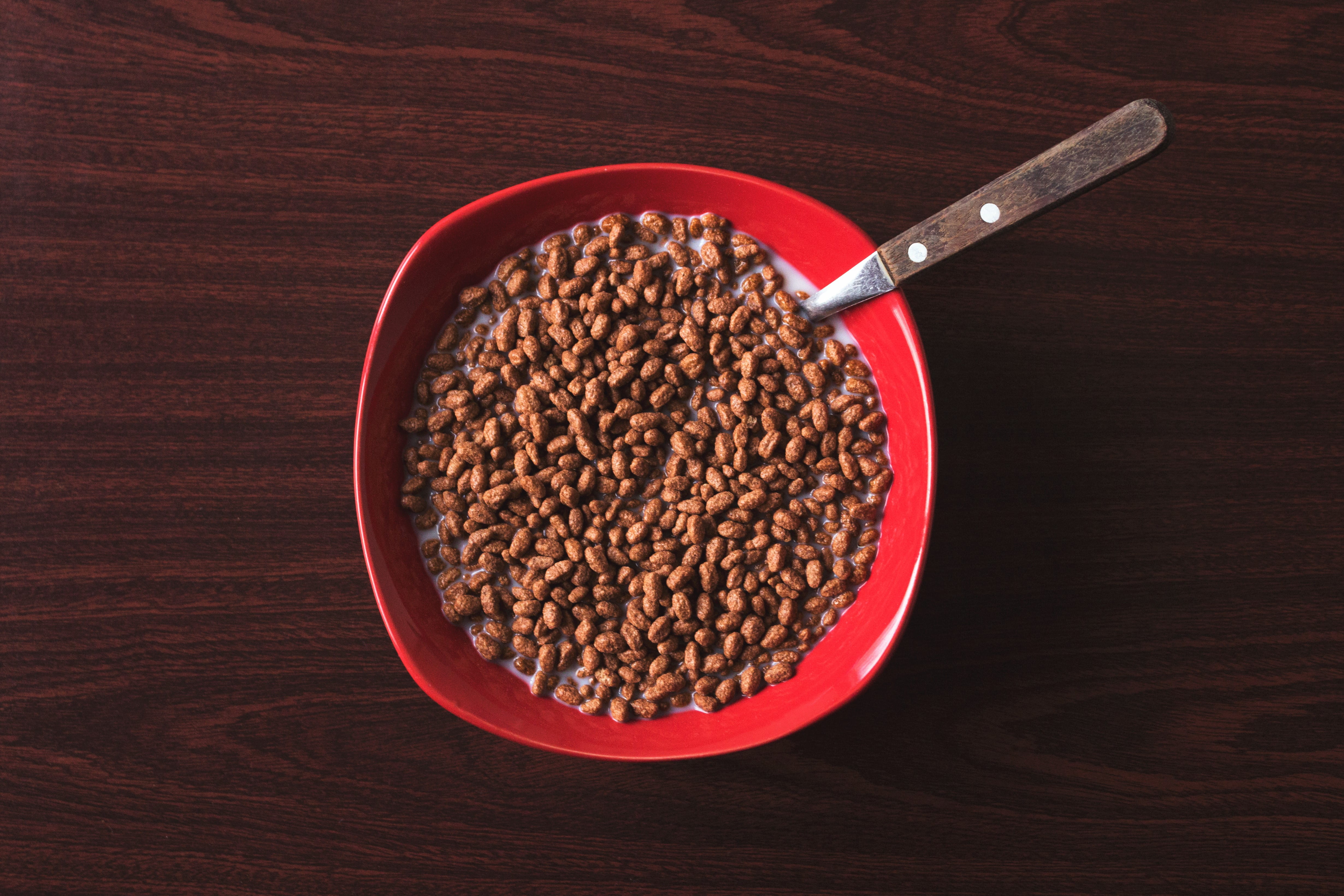 food, raw food, wood - Material, minimal, wood, studio shot, bowl, brown, wellbeing, breakfast, directly above, milk, indoors, ingredient, morning, 4K, HD Wallpaper