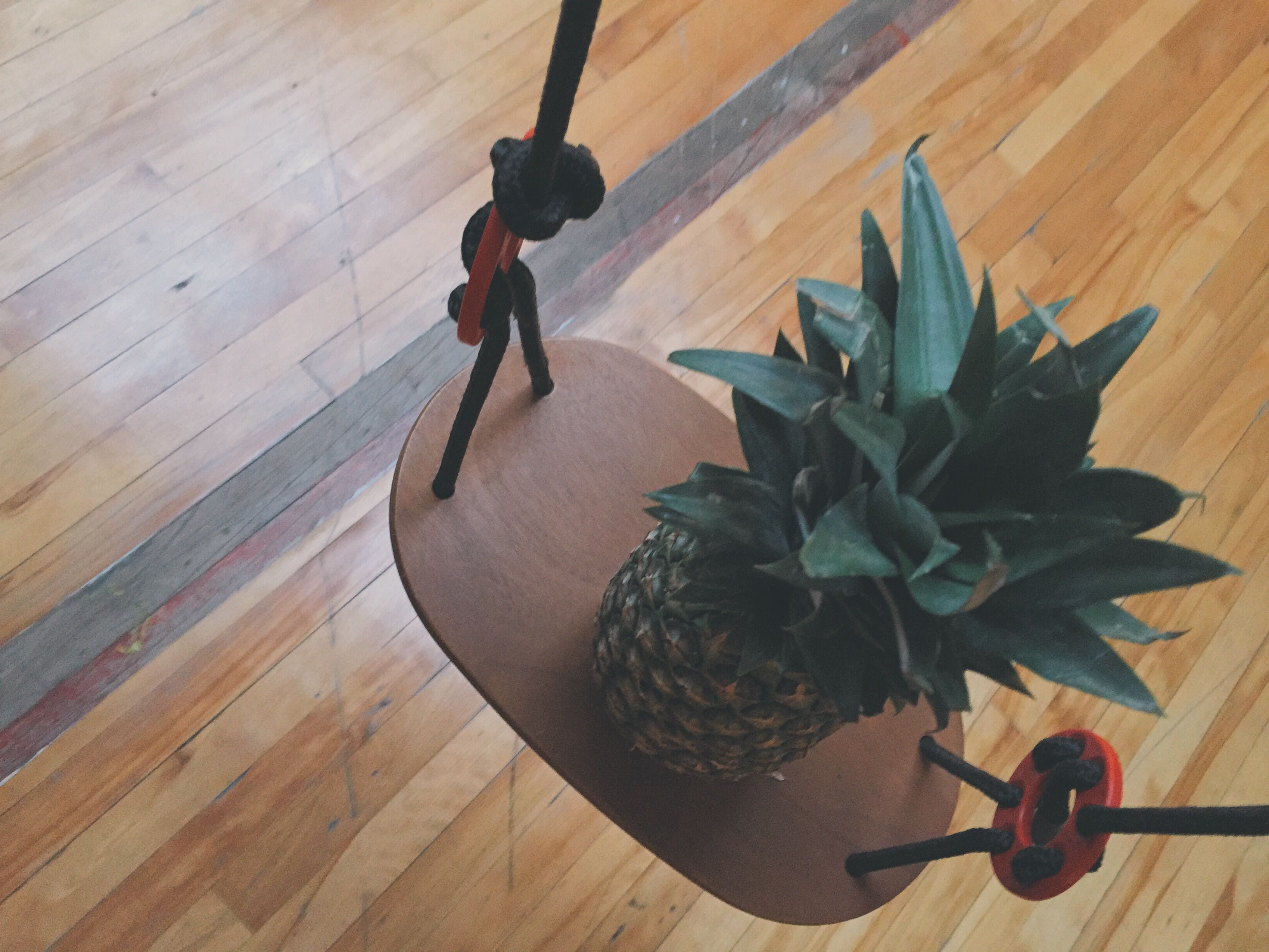 wooden, women, house, retro, 2K, interior, succulent plant, decoration, houseplant, health, interior design, plant part, potted plant, table, people, nature, HD Wallpaper