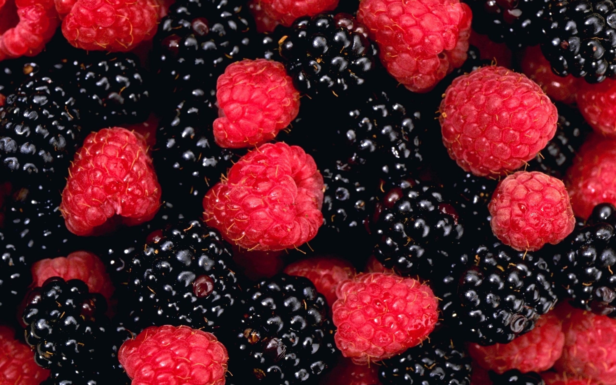 variation, raspberries, 2K, large group of objects, ripe, fruit, healthy eating, still life, blueberry, abundance, full frame, close-up, raspberry, blackberry - fruit, HD Wallpaper