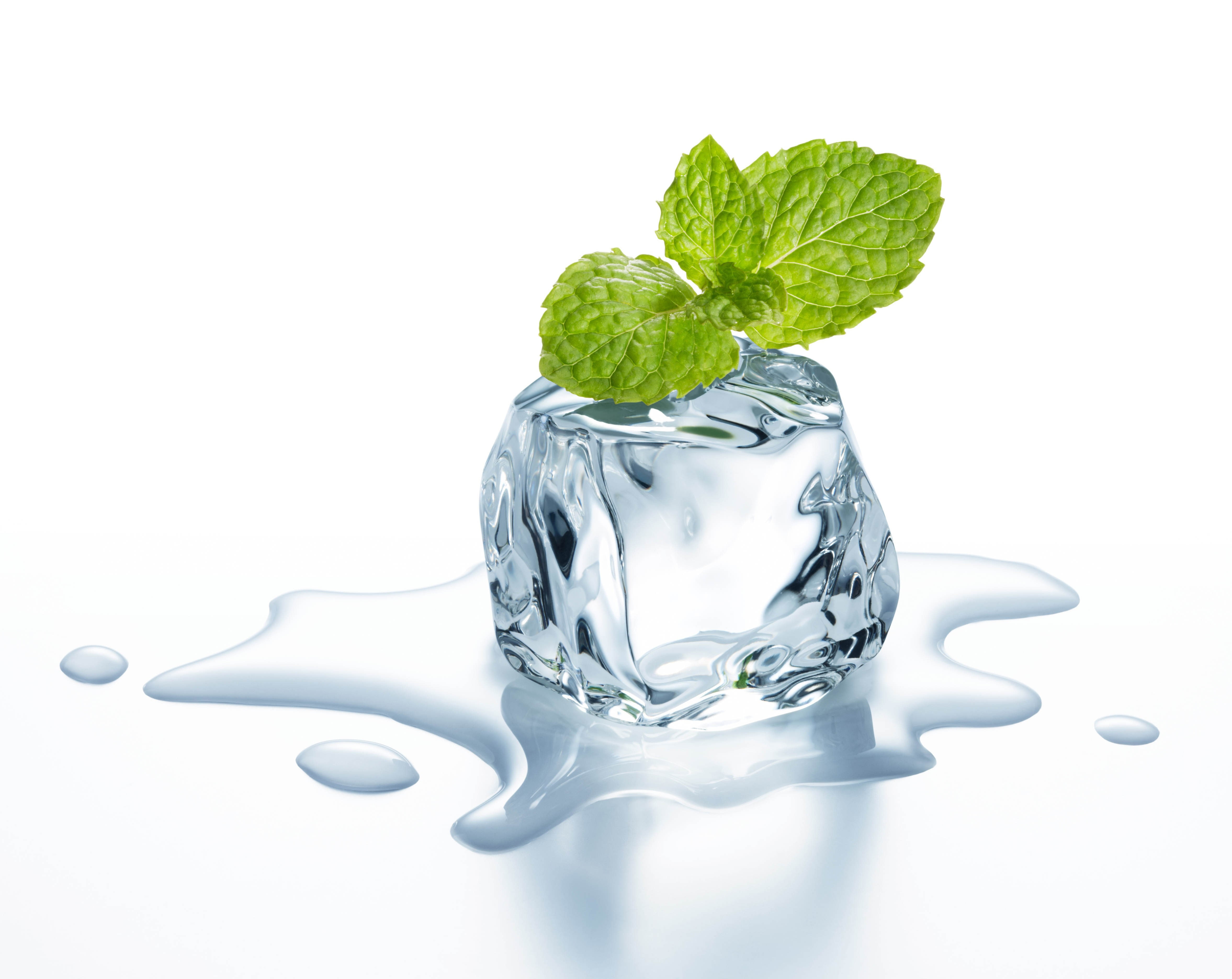 ice, 4K, leaves, leaflets, mint., mint, cube, HD Wallpaper