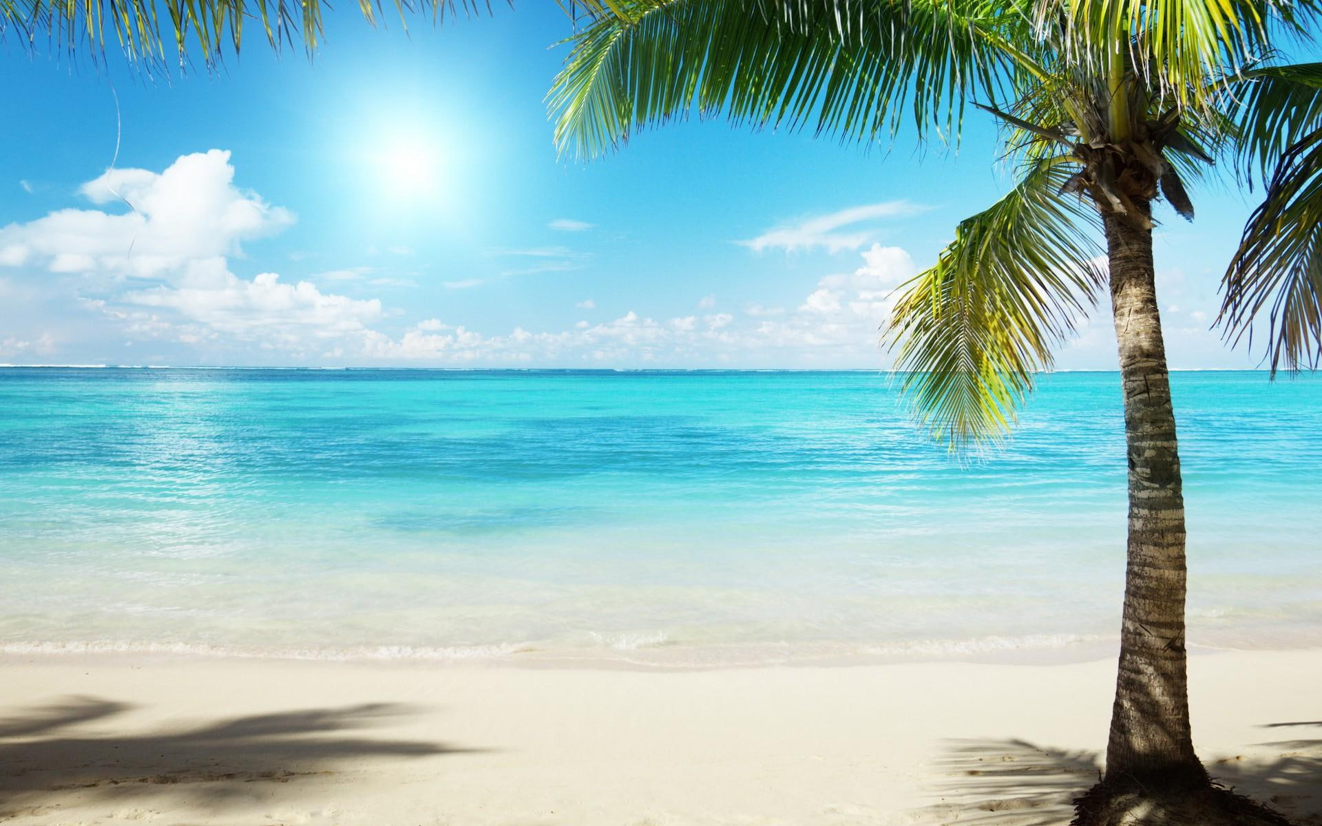 daylight, tree, clouds, watr, ebeach, shiny, warm, 1080P, nature, nature and lands, blue, ocean, sand, smooth, HD Wallpaper