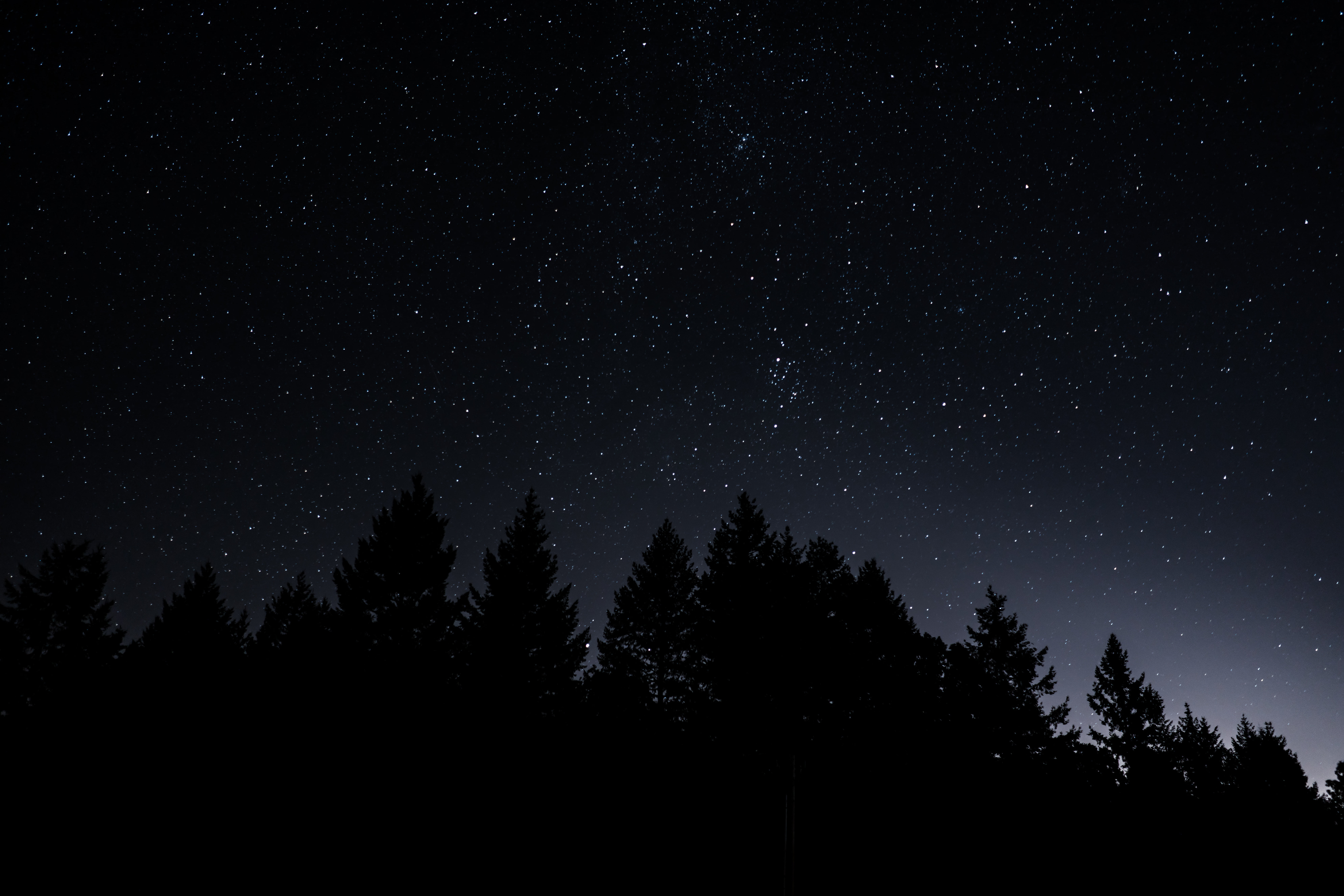 star, low angle view, star Field, milky Way, forest, planet - Space, trees, illuminated, mountain, space, dark, plant, space and astronomy, pine Tree, landscape, HD Wallpaper